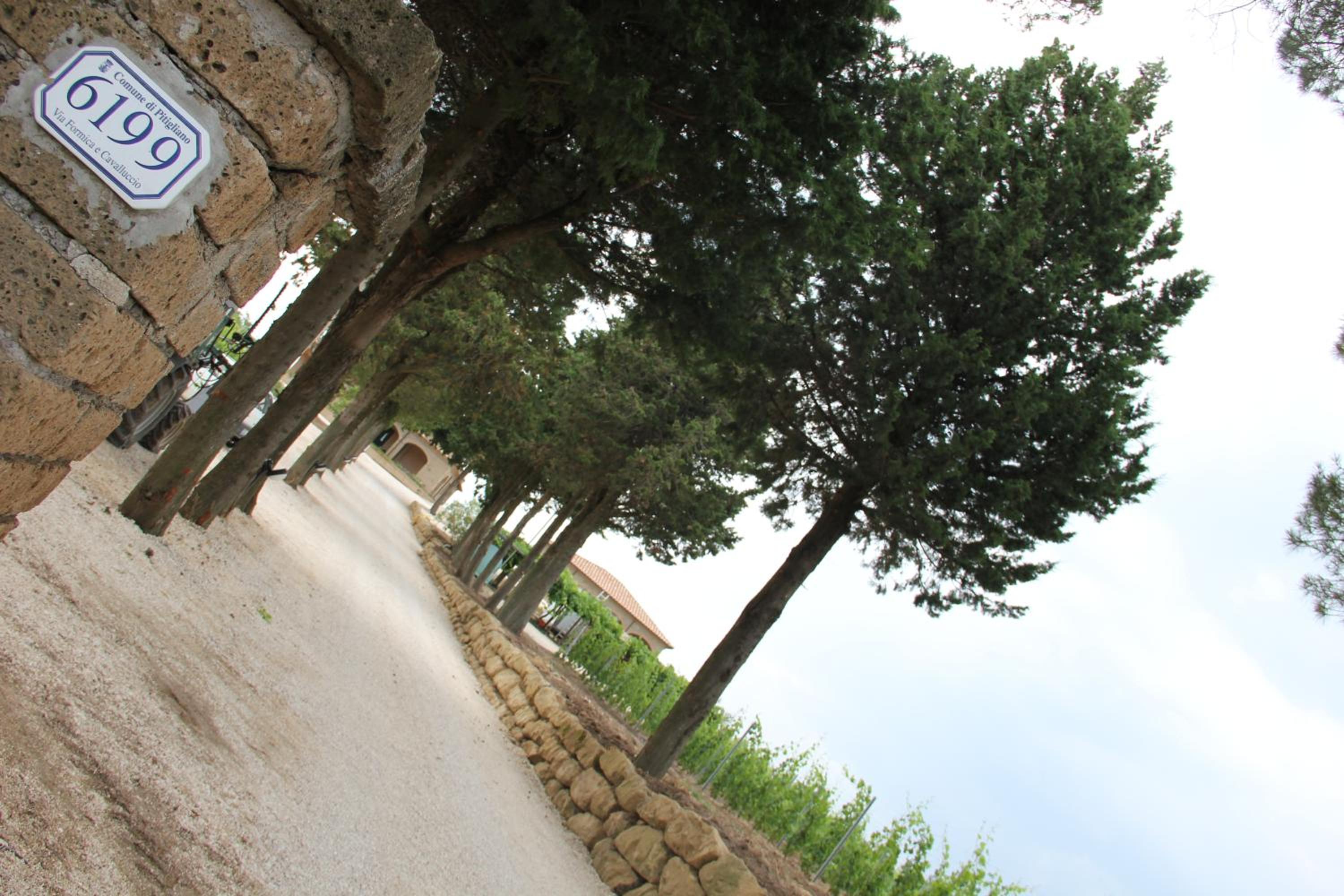 Agriturismo Poggio Al Tufo