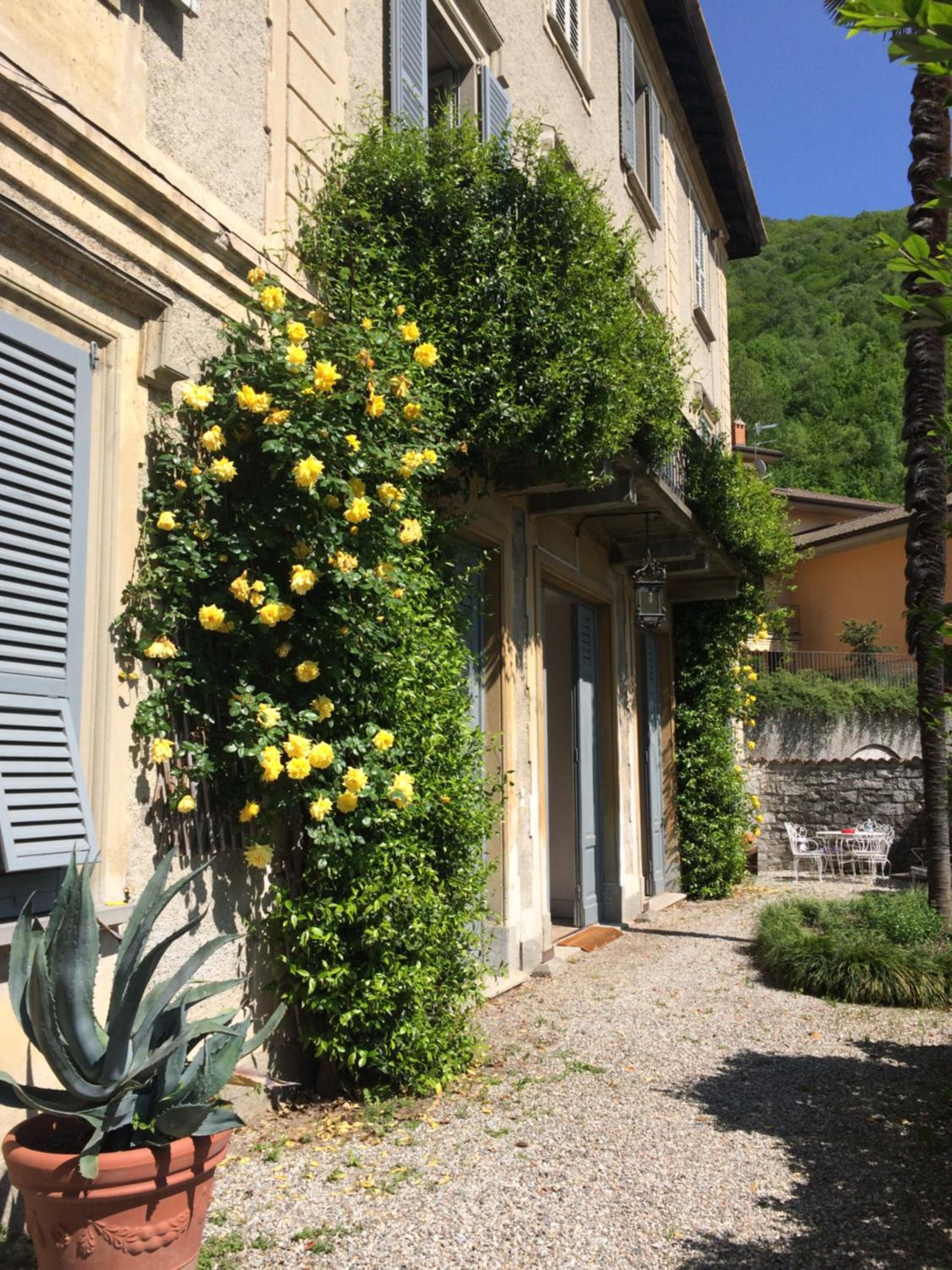 como lake - Villa Ruscone view 3