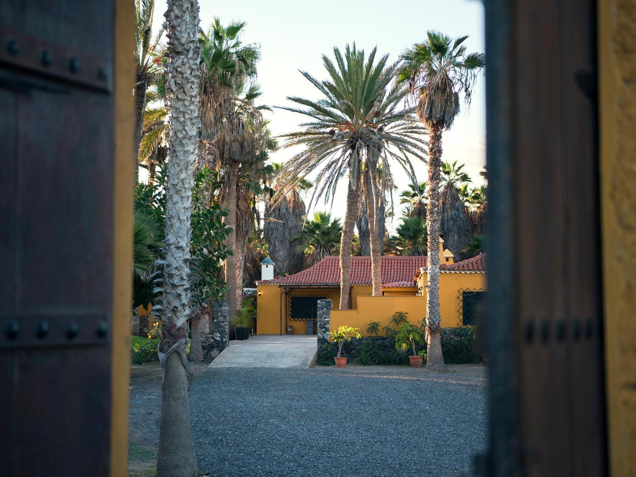 Photo 45