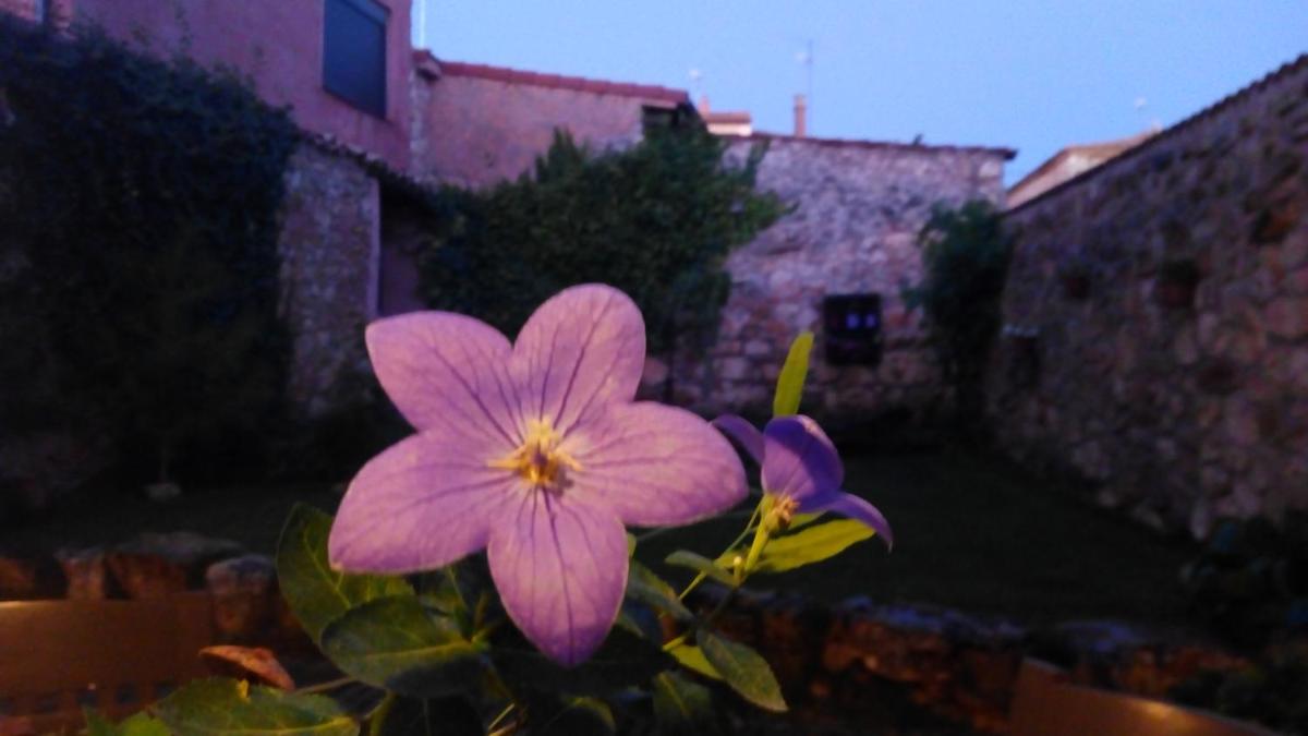 La Casa de la Abuela Petra view 2