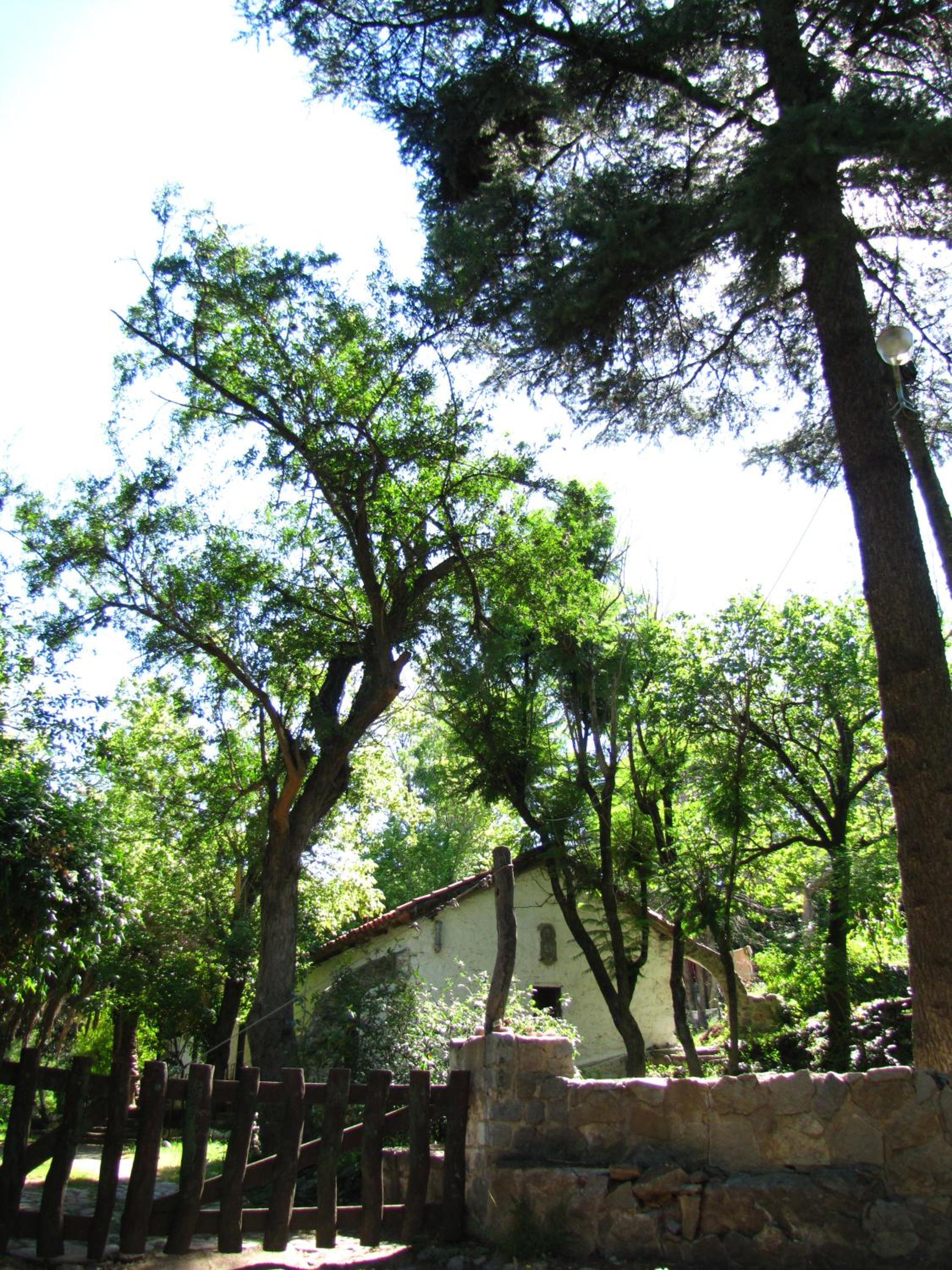 La Casona del Río