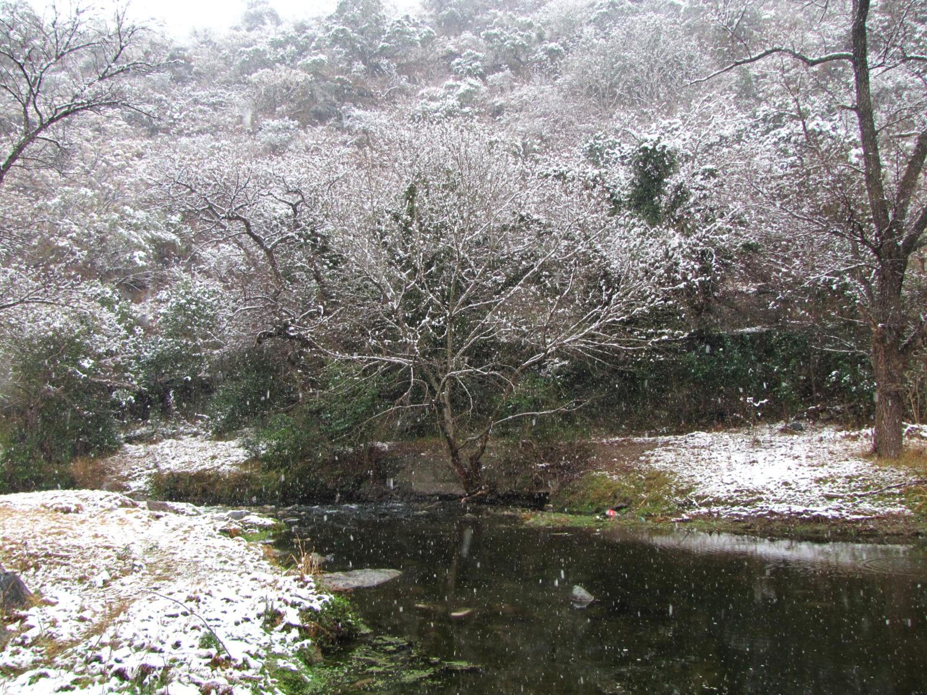 La Casona del Río