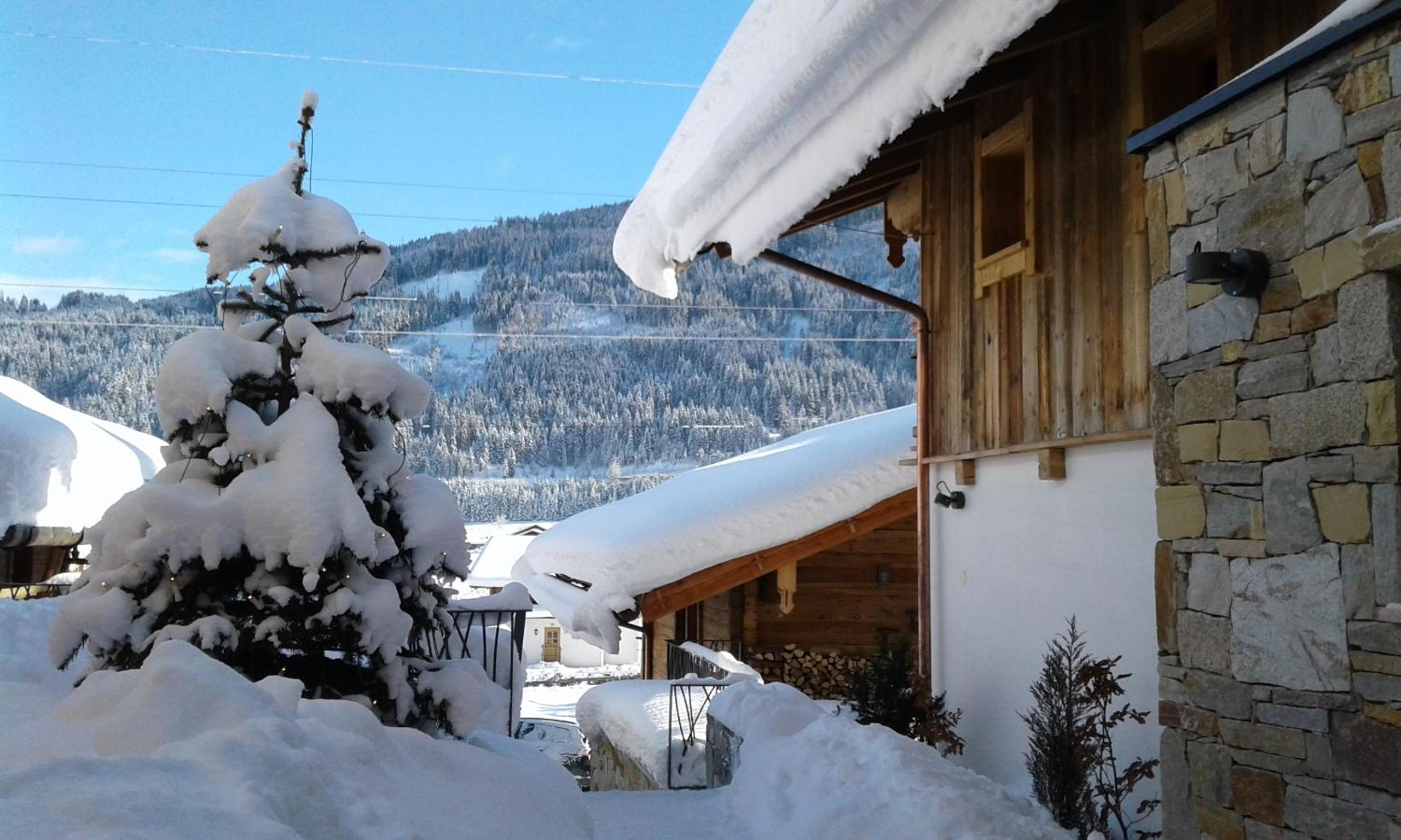 LISA-Chalets