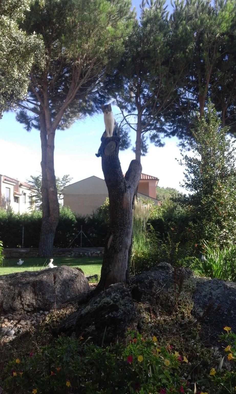 La Casita del Guarda