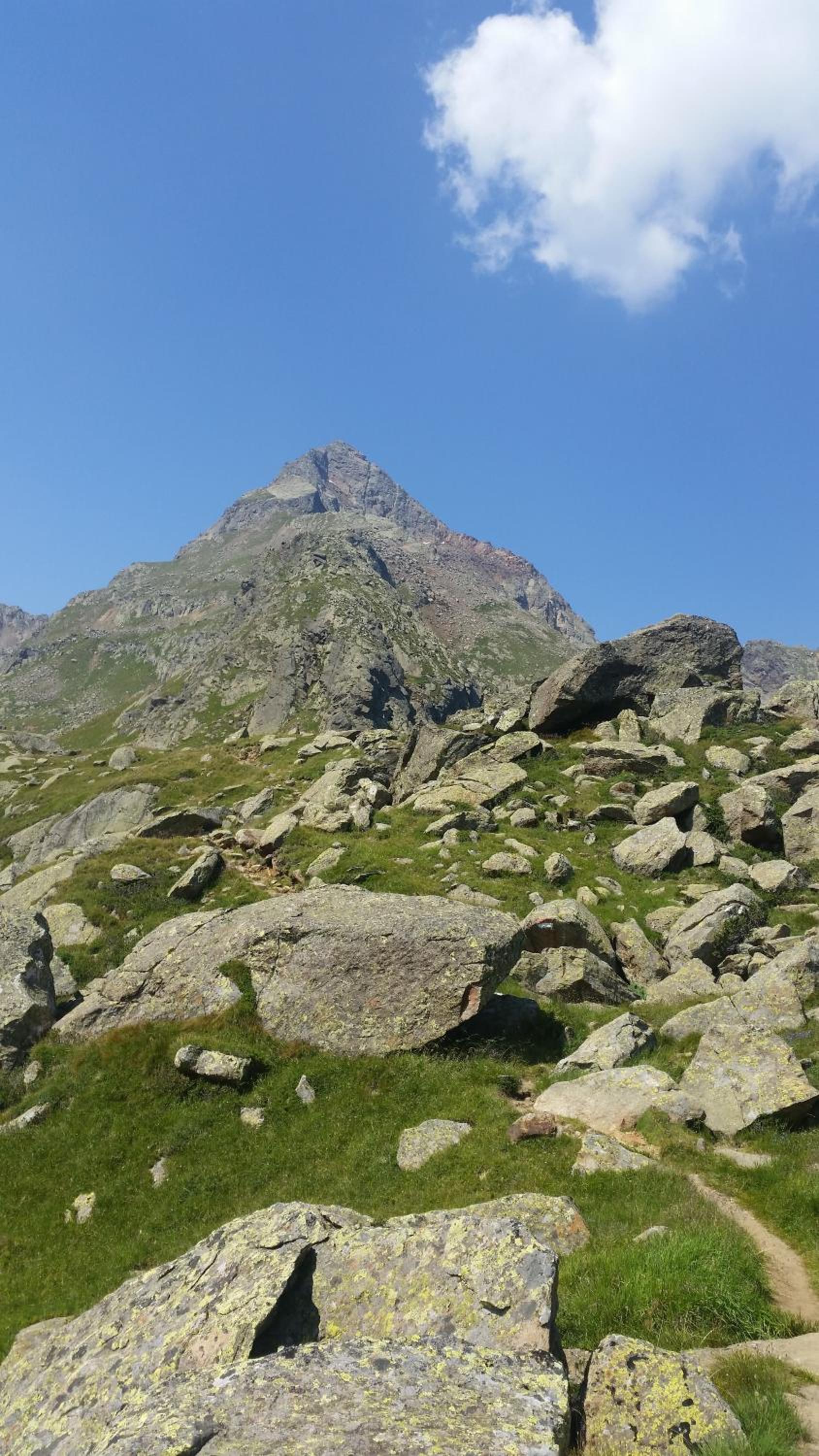Photo 26