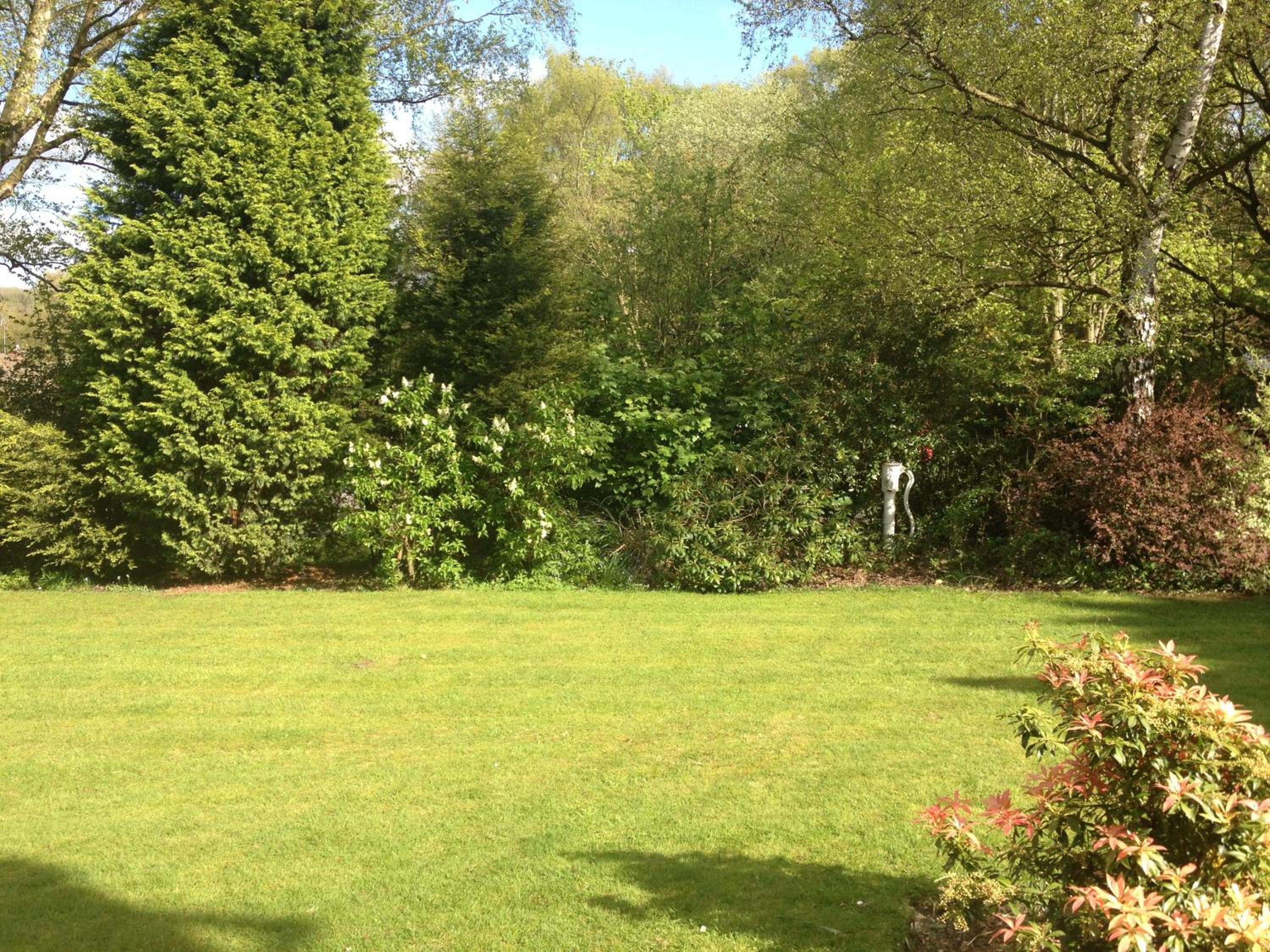 Photo 36