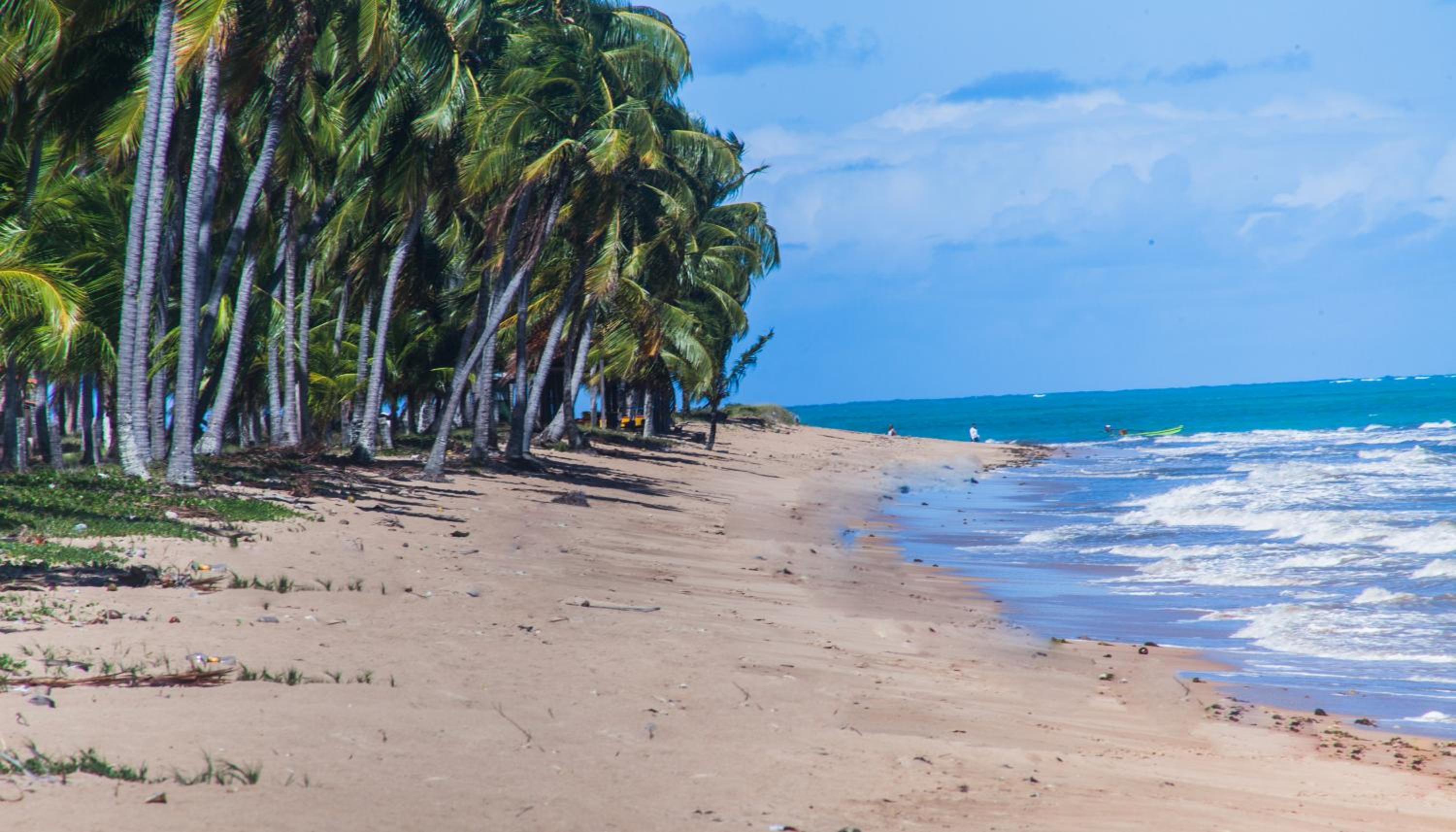 Eco Pousada Paraíso dos Coqueirais