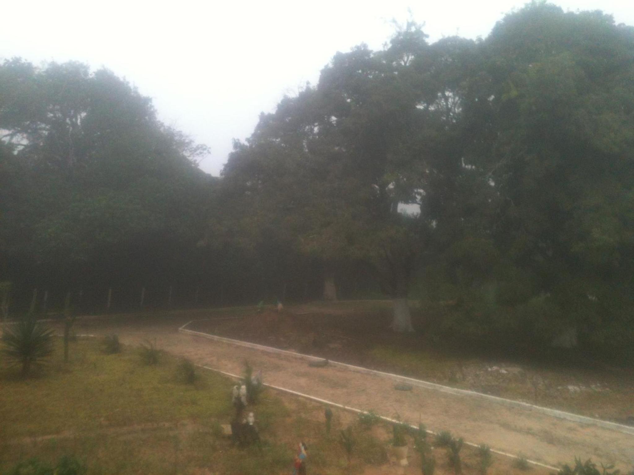 Photo 22