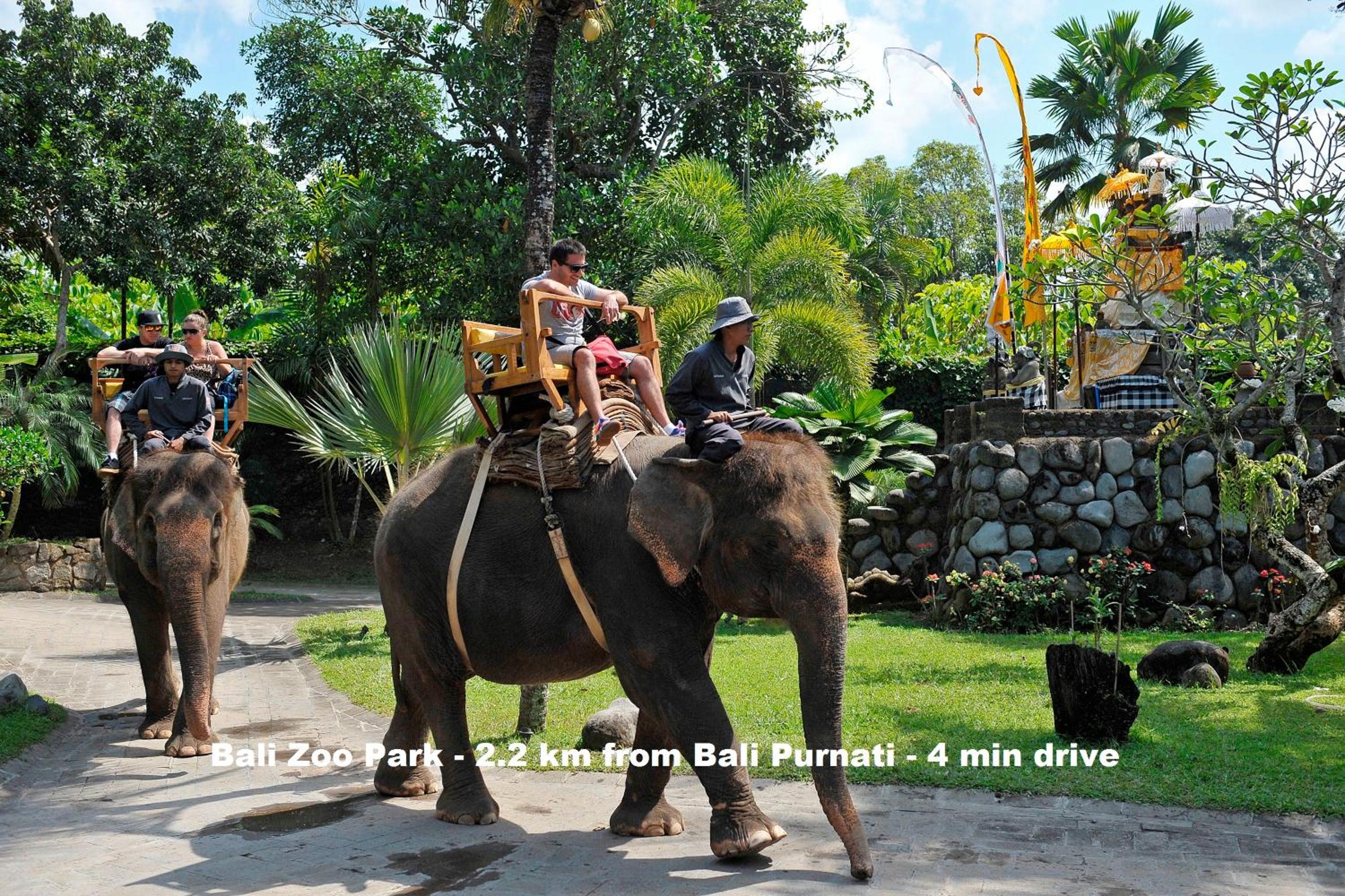 The Bali Purnati Center For The Arts