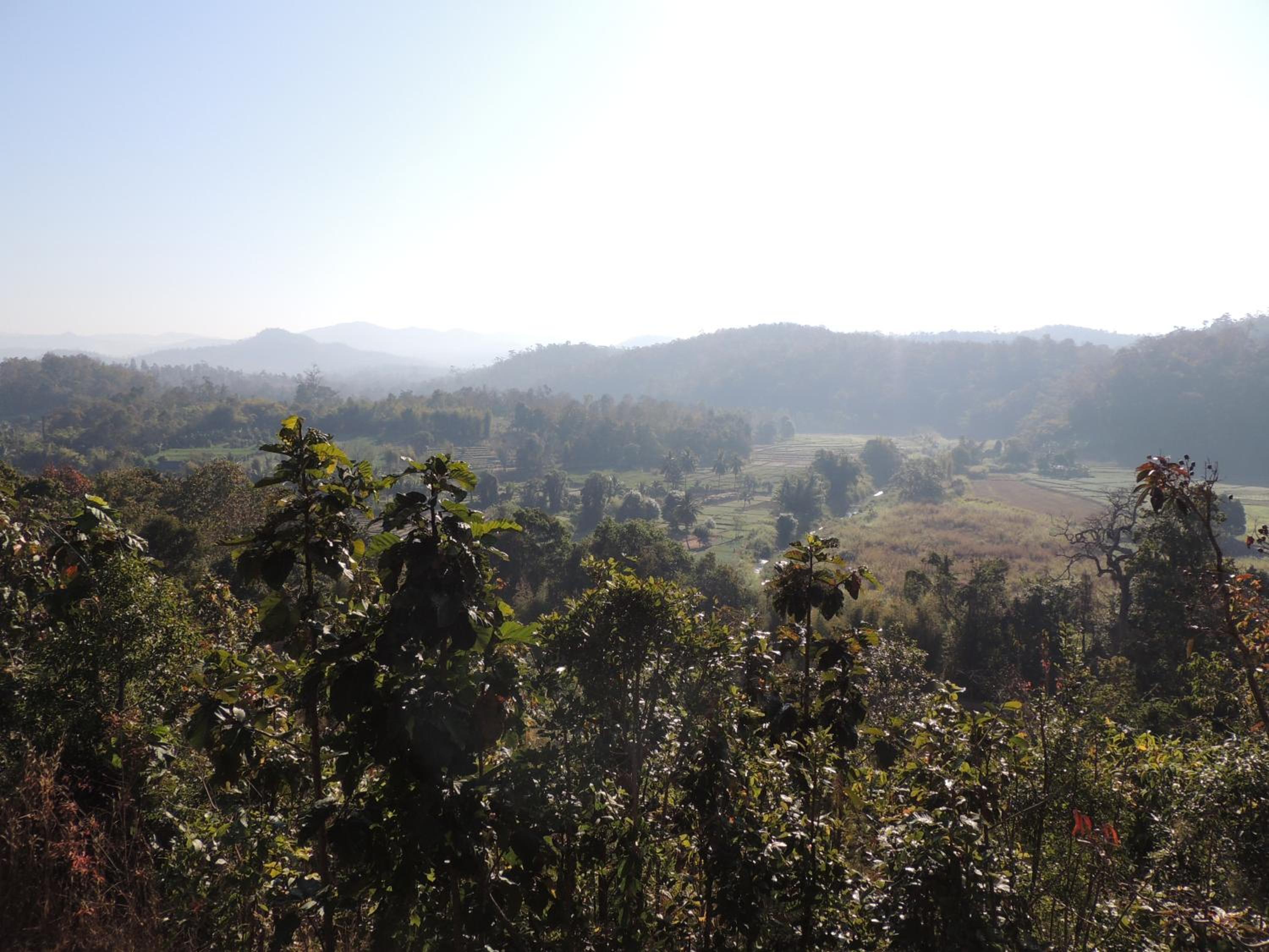 Khunyuam Resort