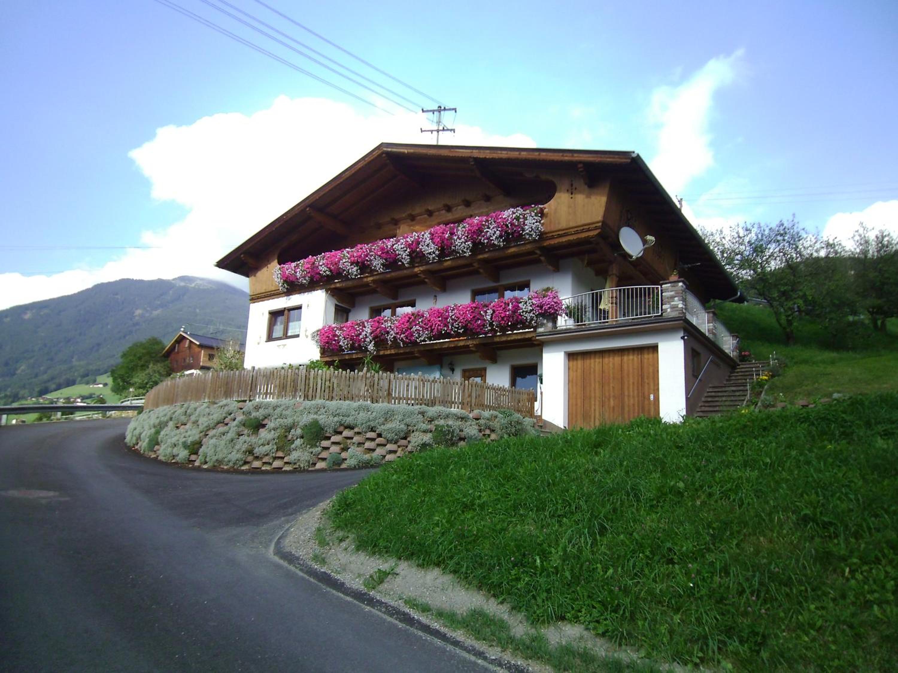 Photo 50