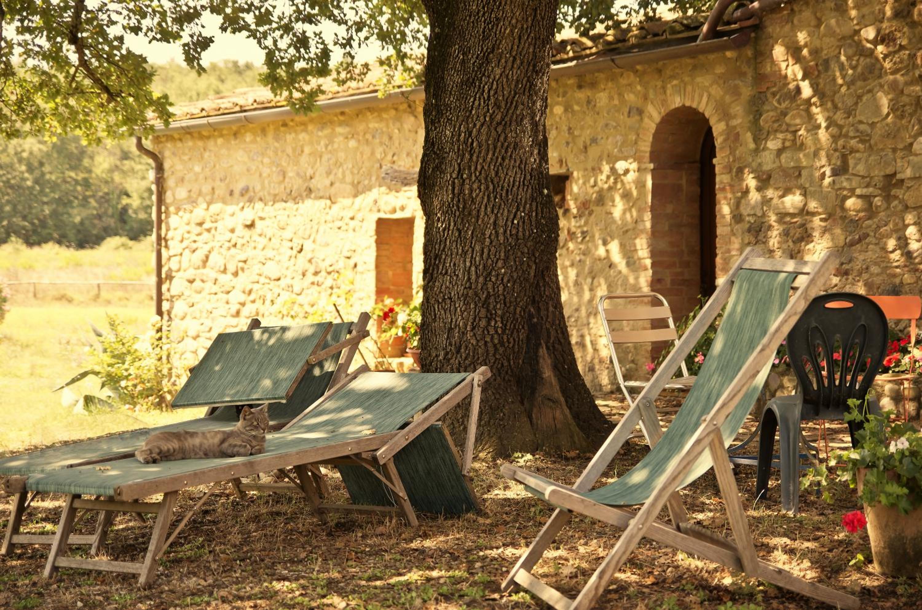 Agriturismo il Casalino