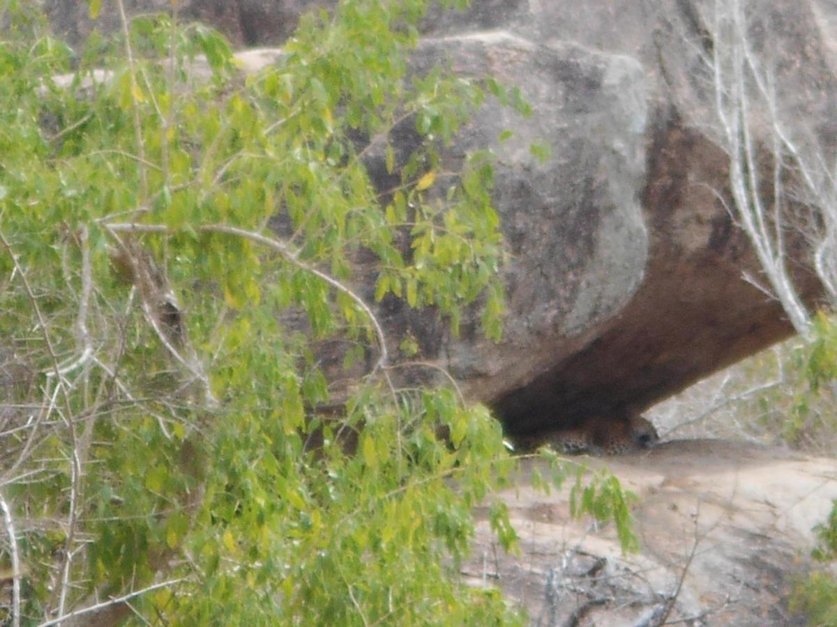 Photo 25