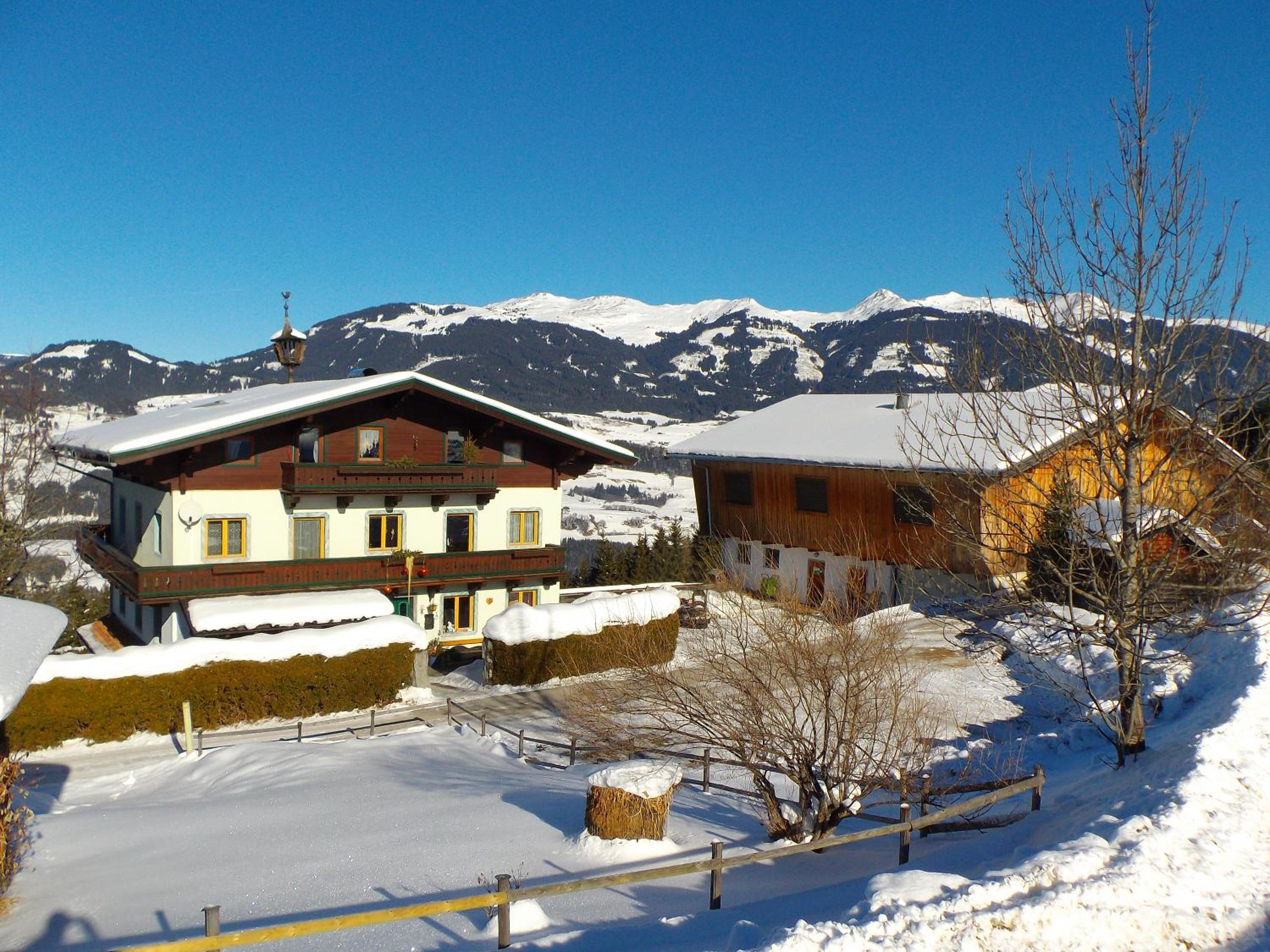 Photo 40