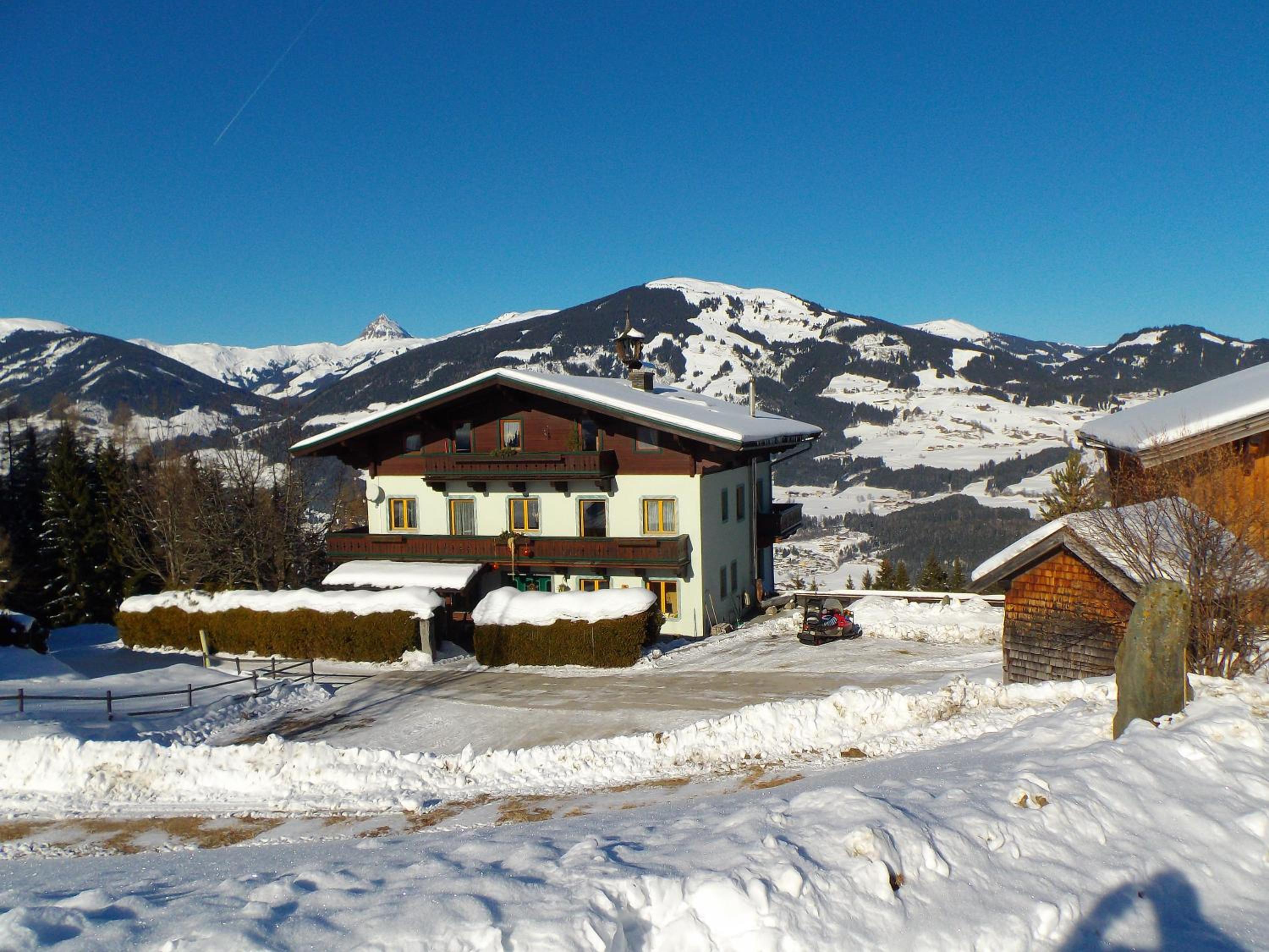 Photo 41