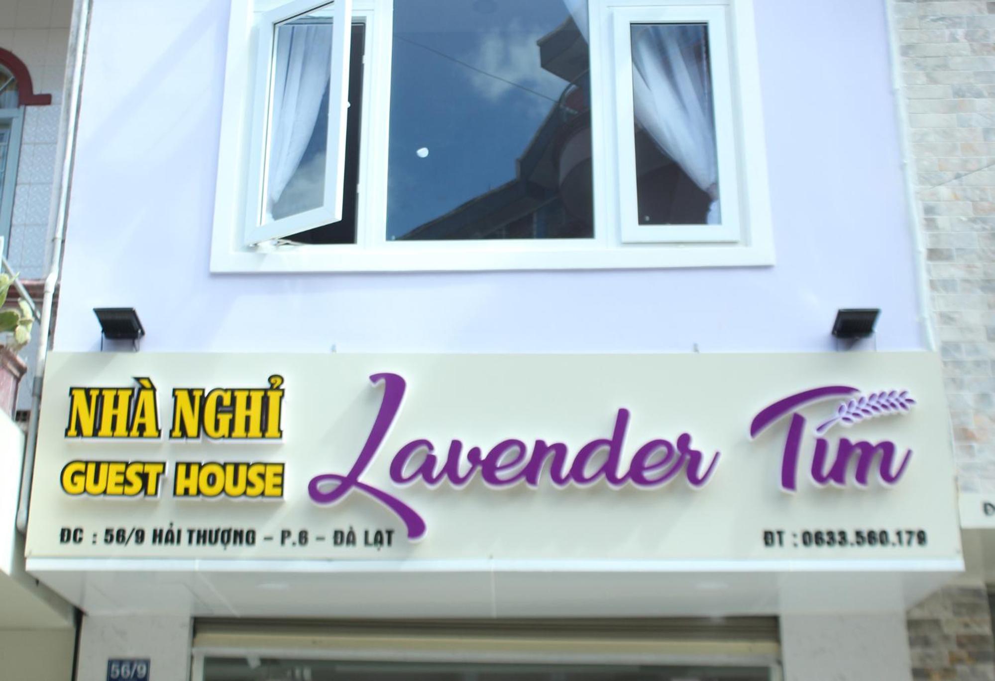 Lavender Tim