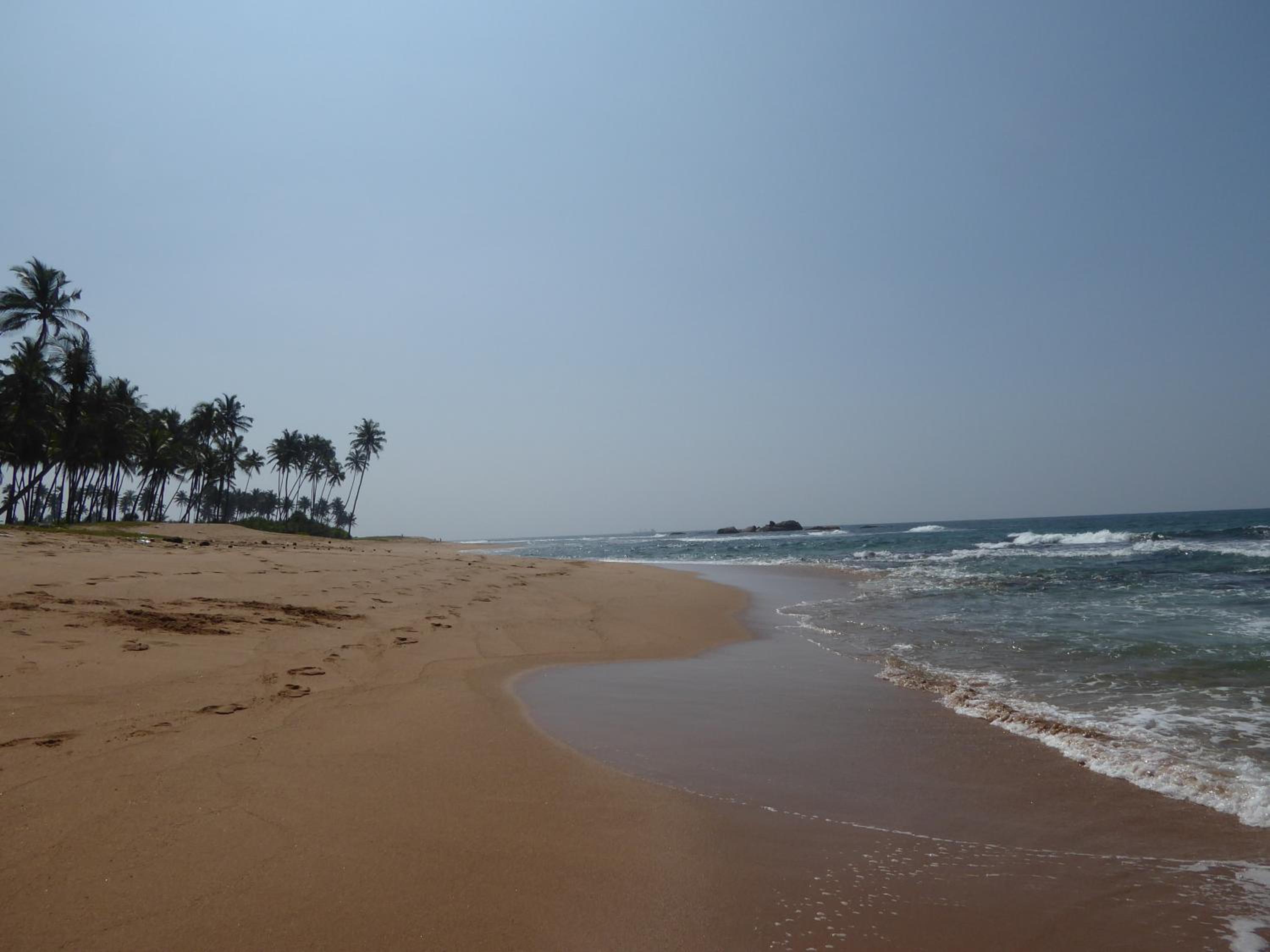 DiNi Galle
