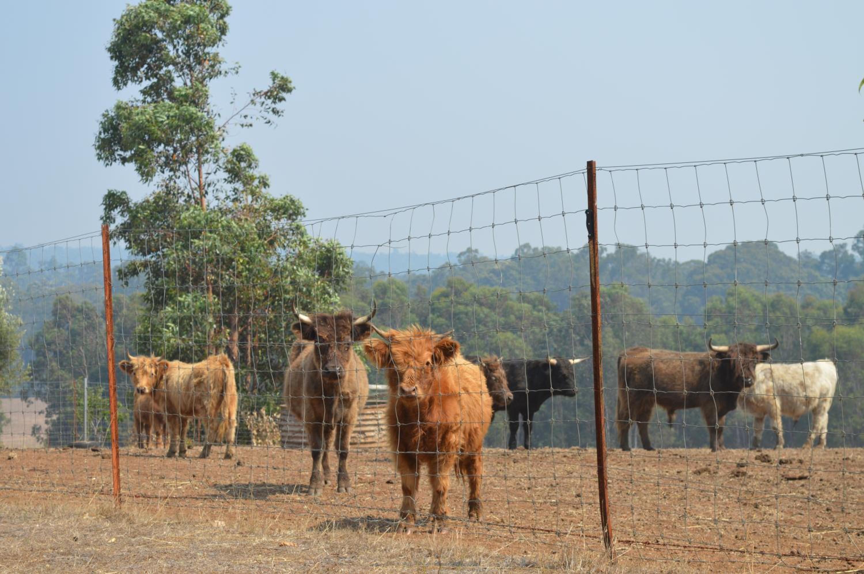 Jarrah Glen Cabins