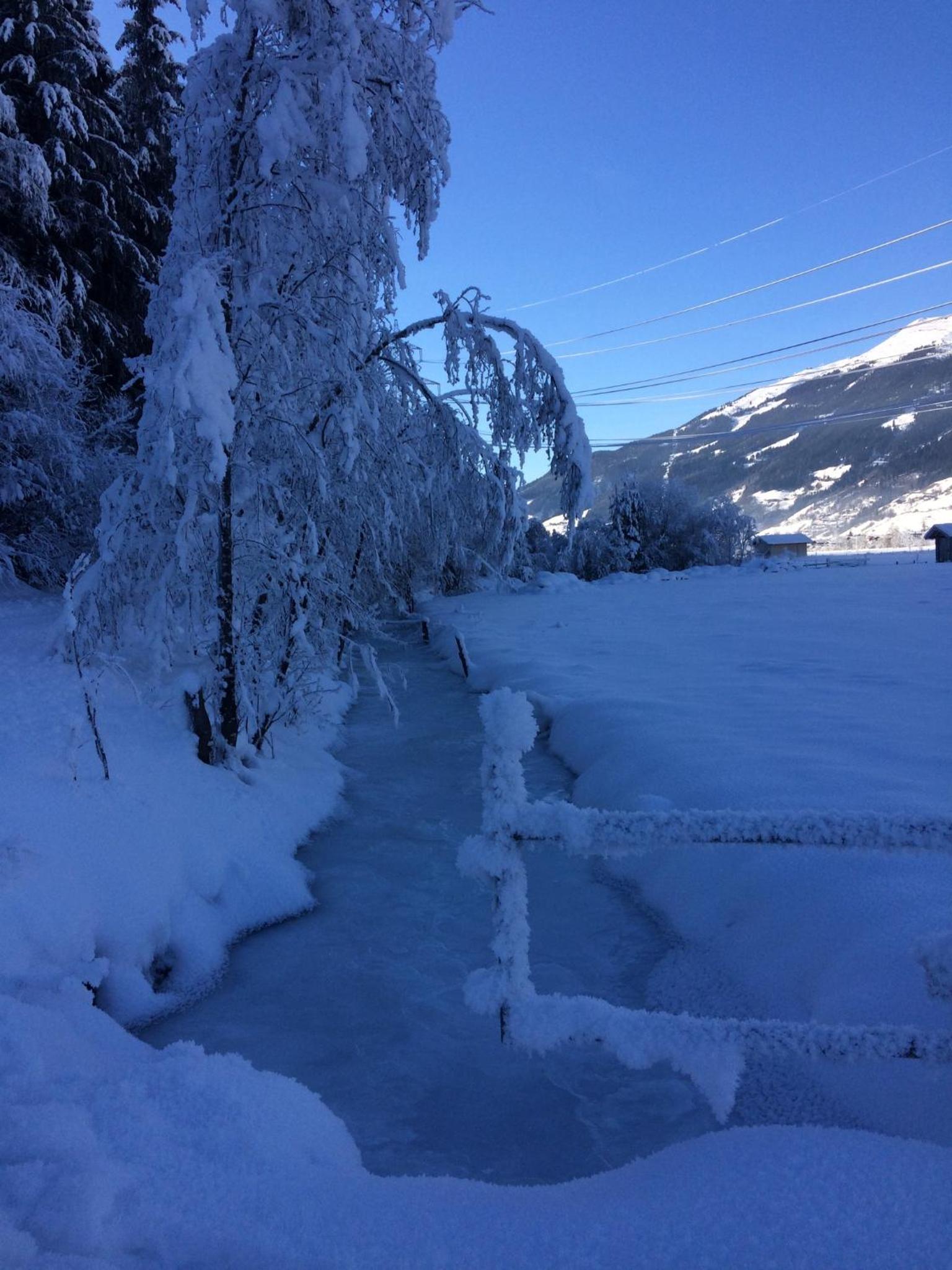 Almwirt