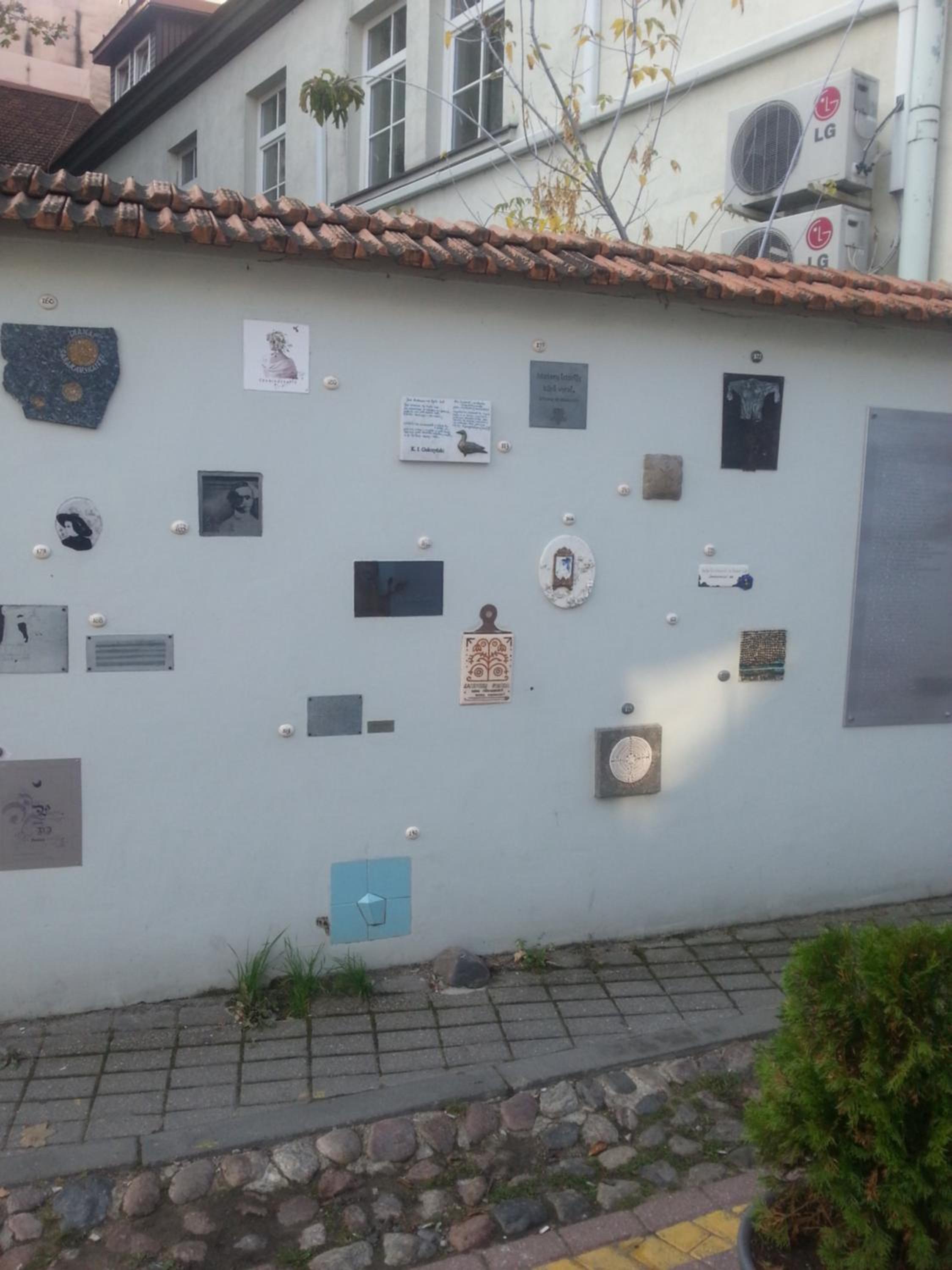 Photo 29