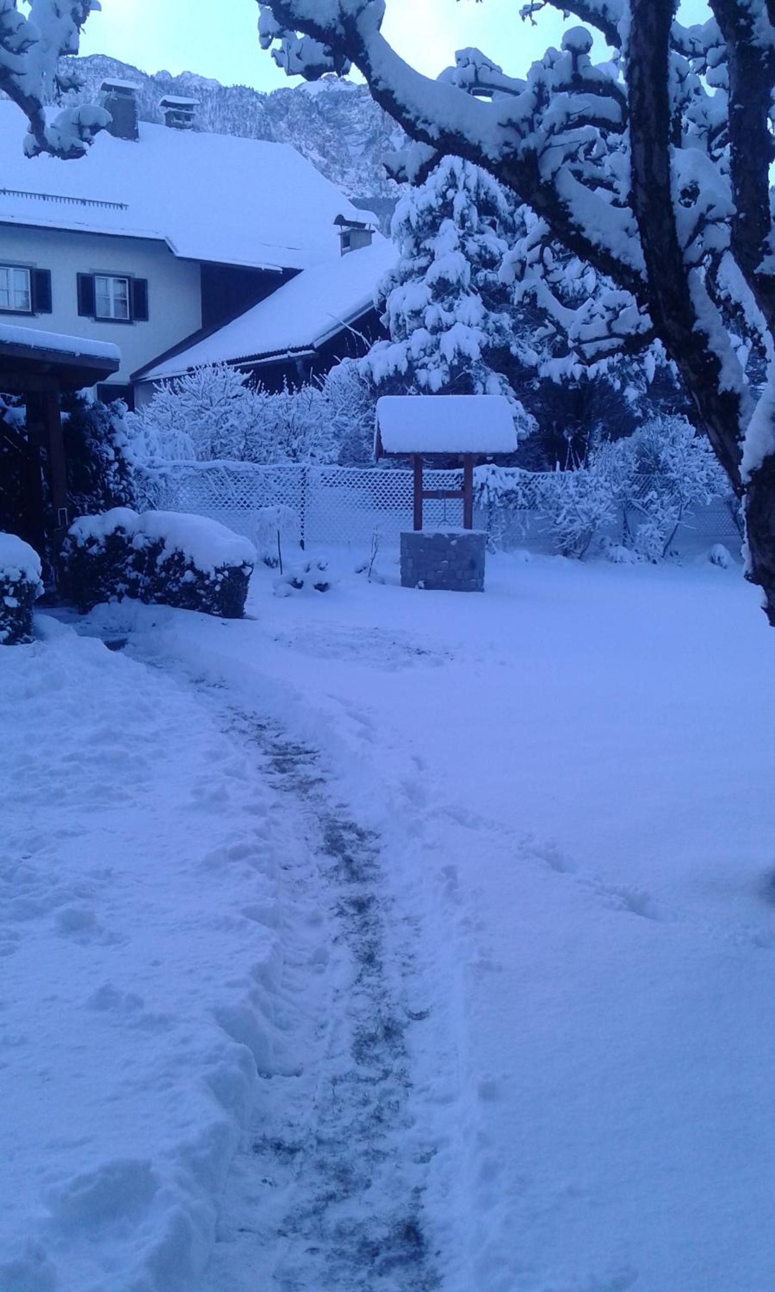Photo 38
