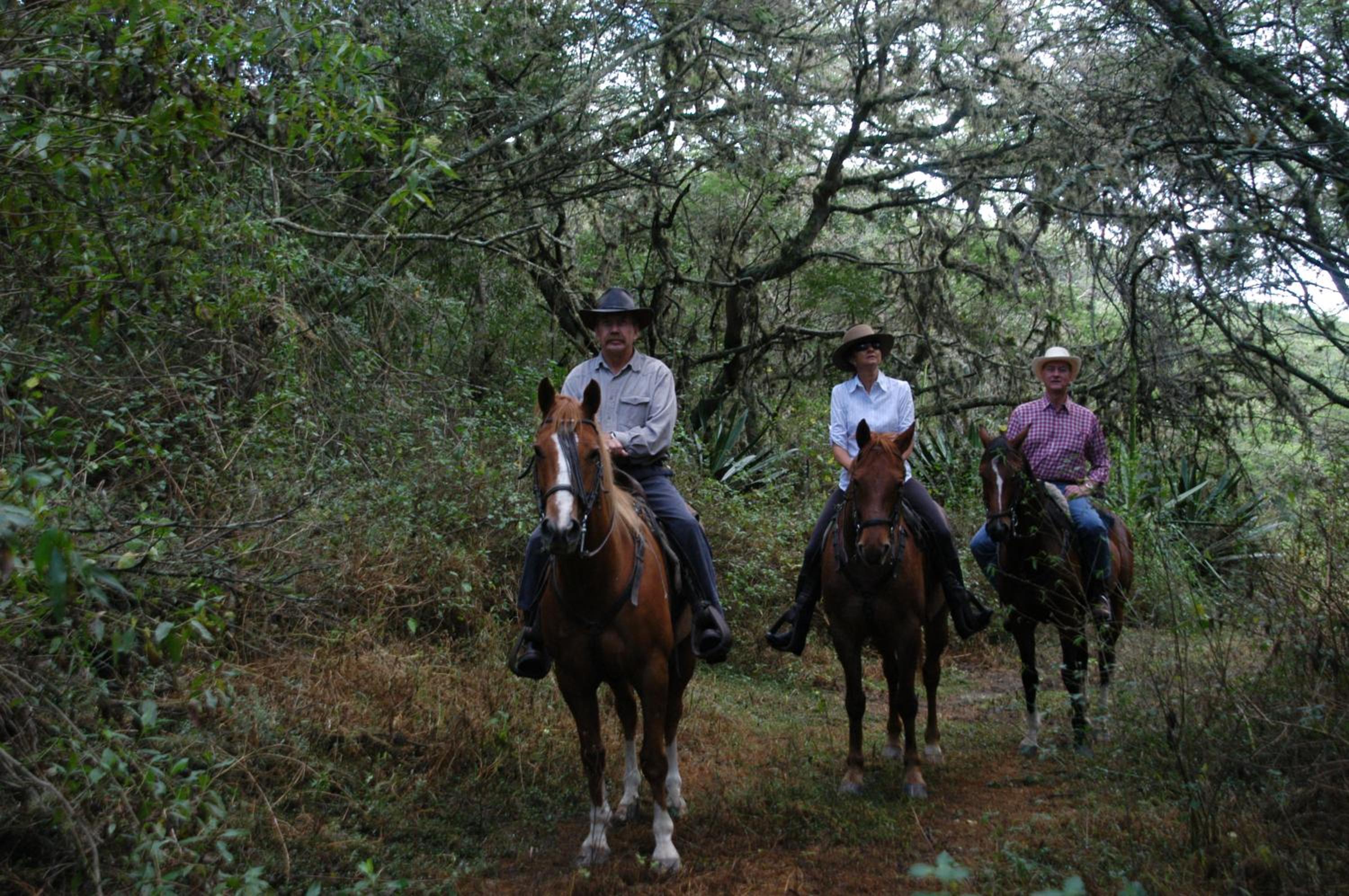 Inraki Lodge