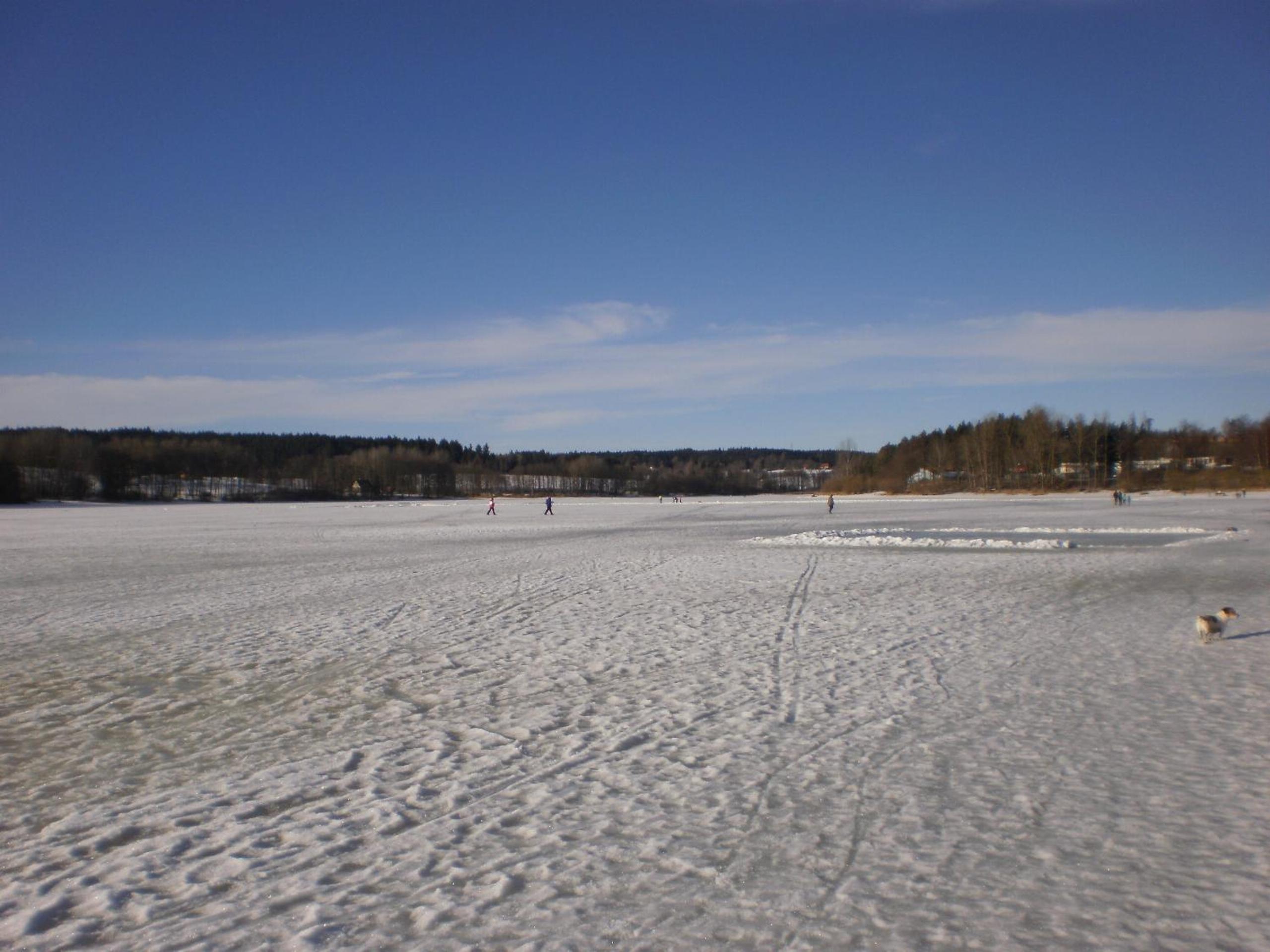 Photo 50