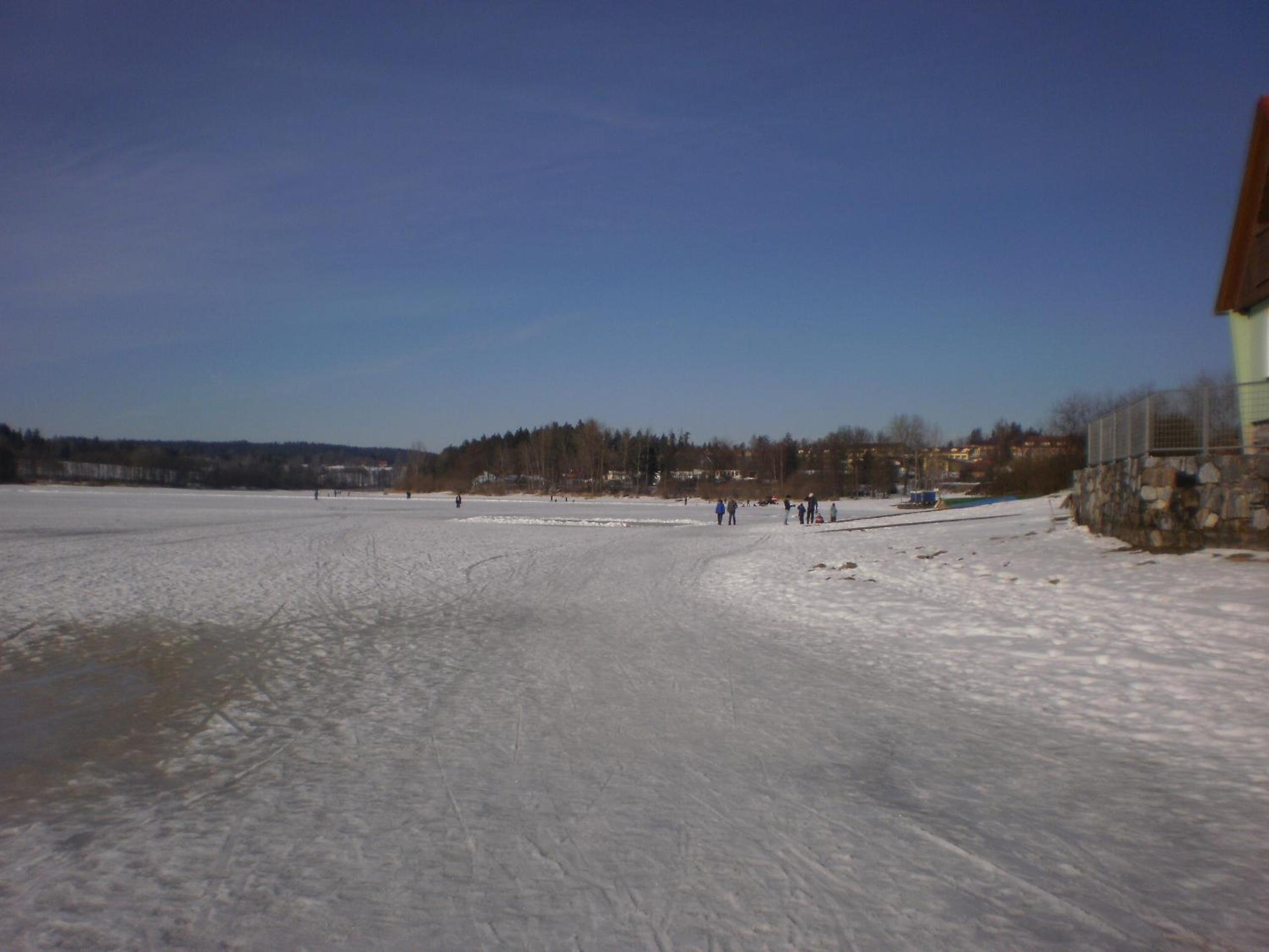 Photo 41