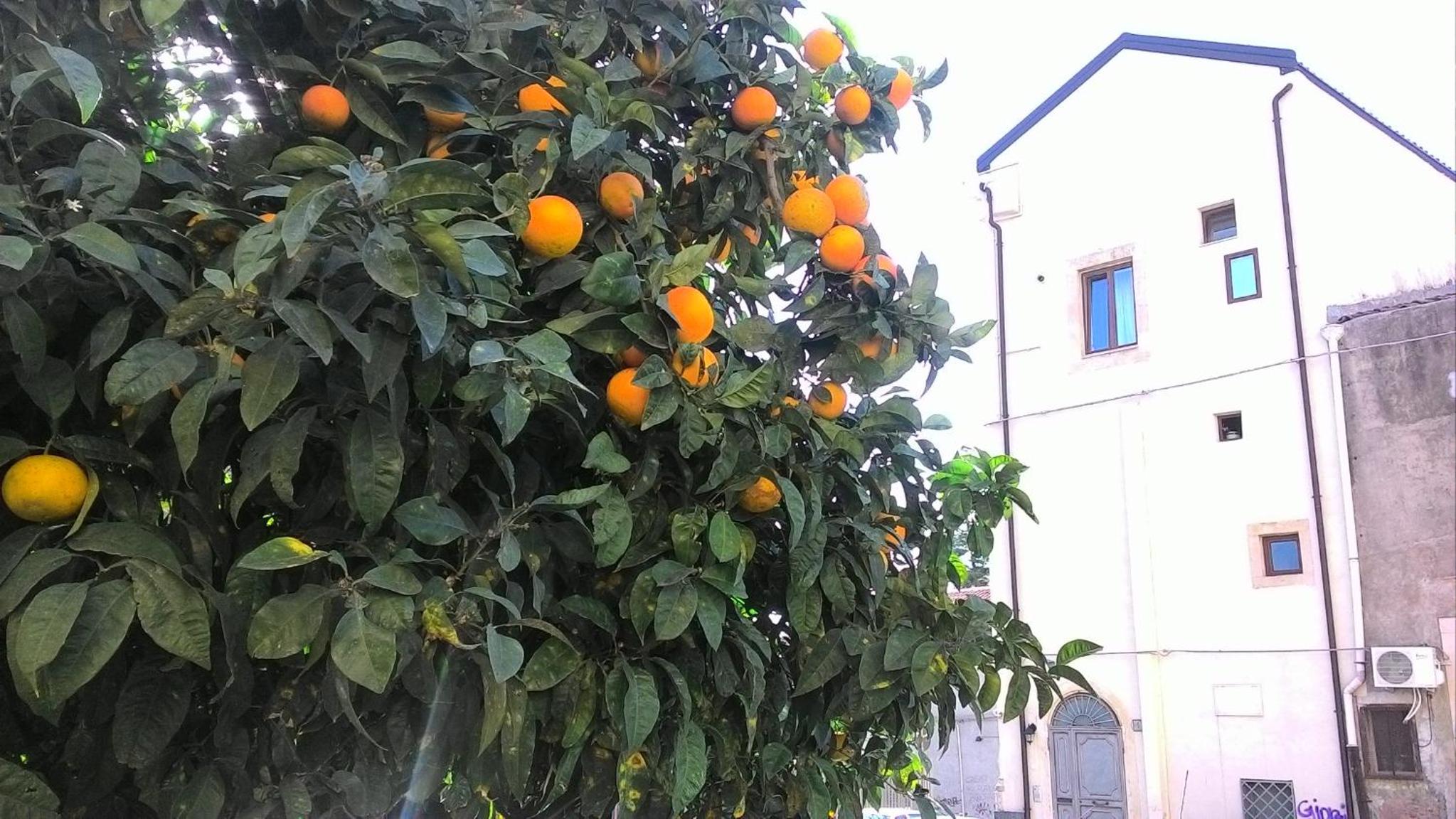 other
