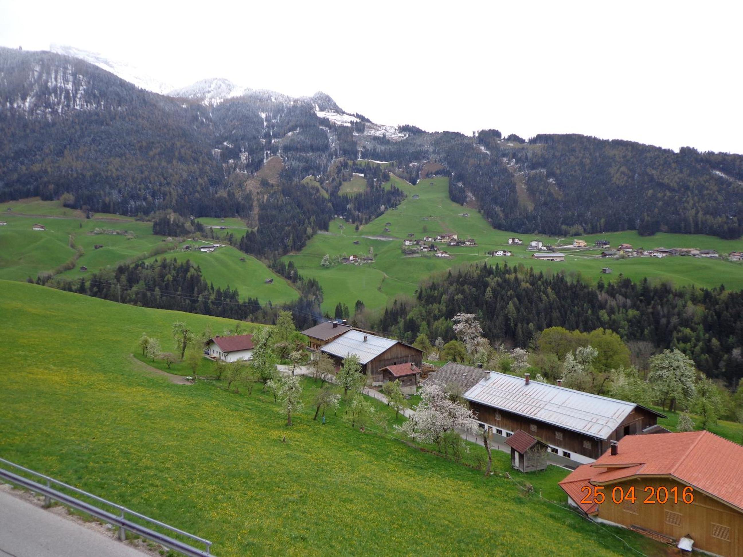 Photo 19