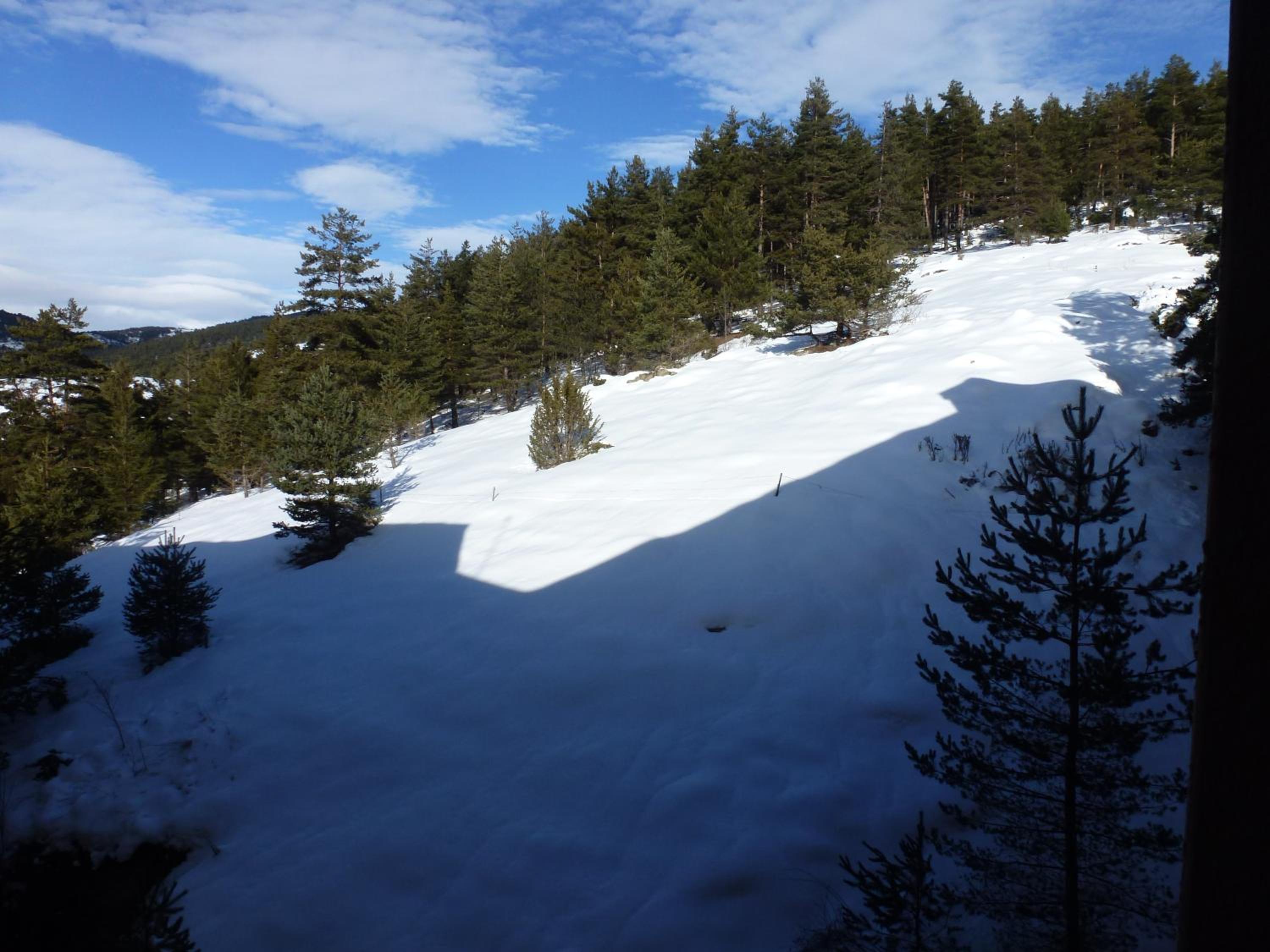 Apartment La Molina view 4