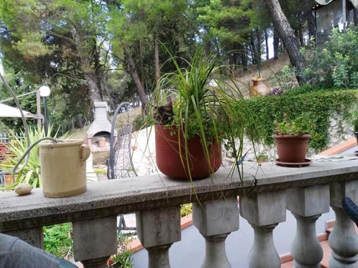 B&B Peschici Rooms