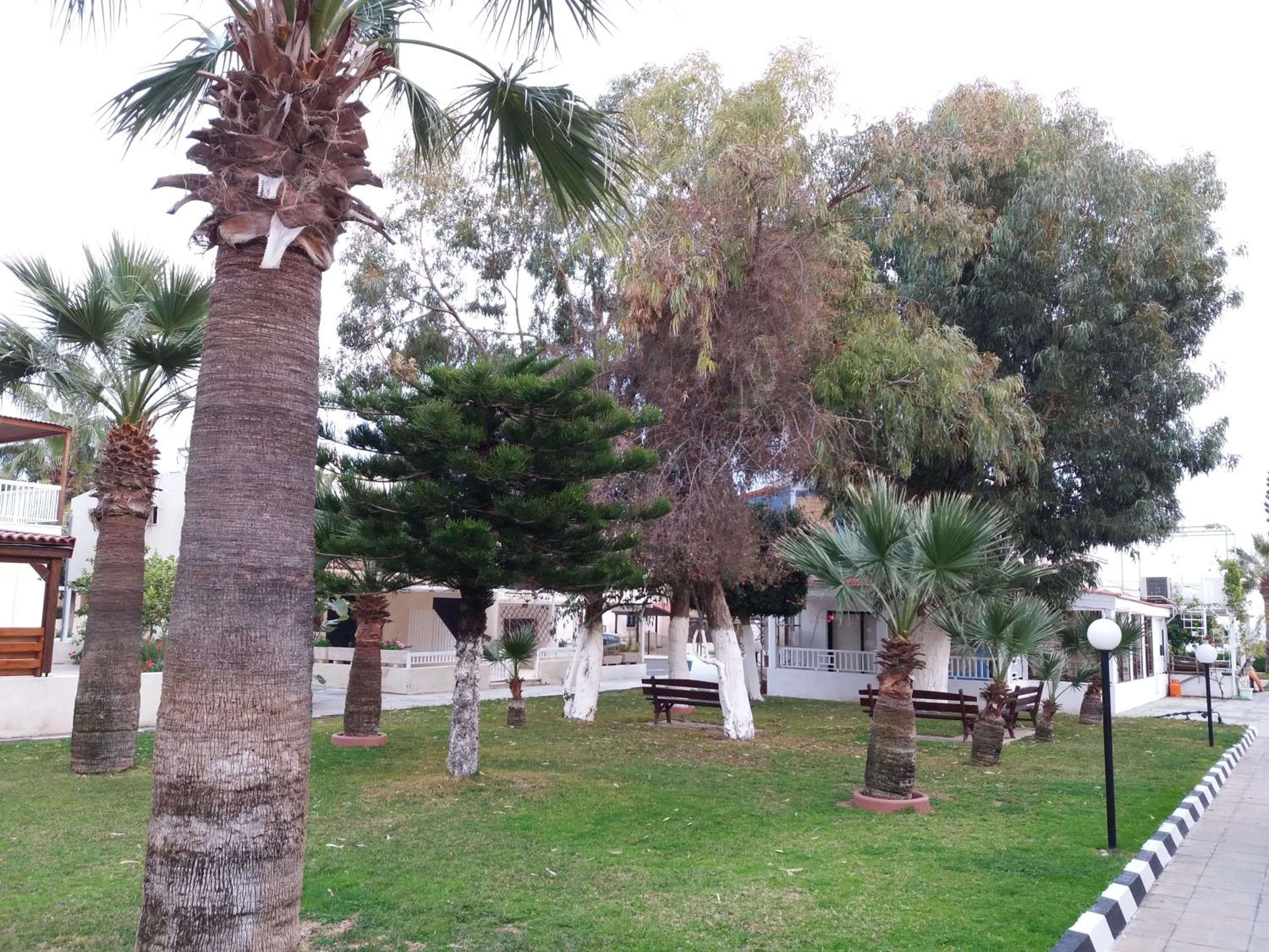 Miltos beach House