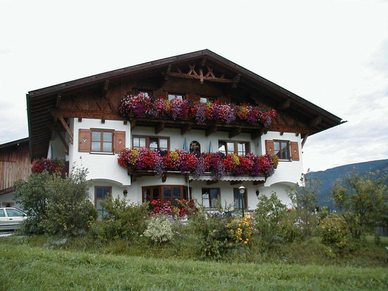 Schottenhof
