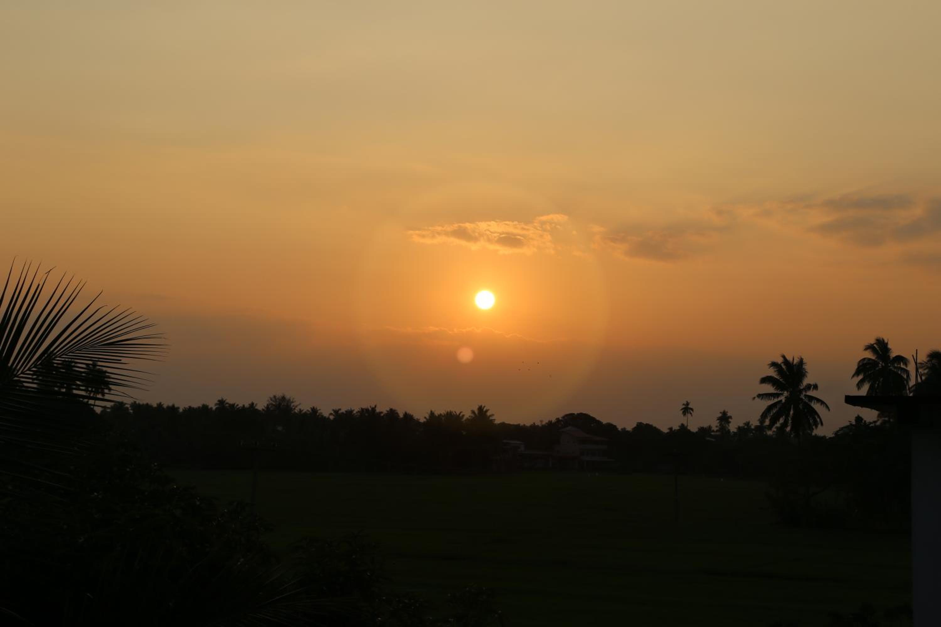 Photo 49