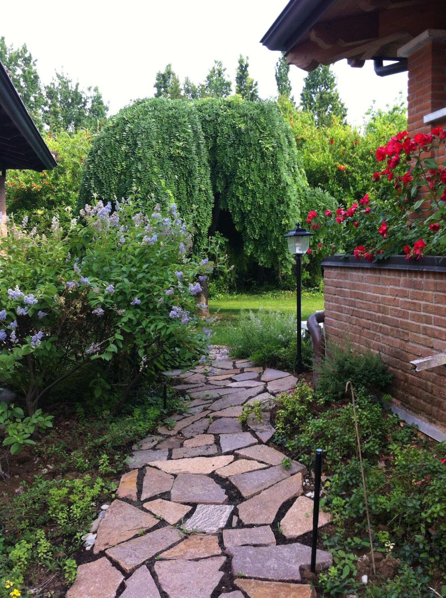 Photo 47