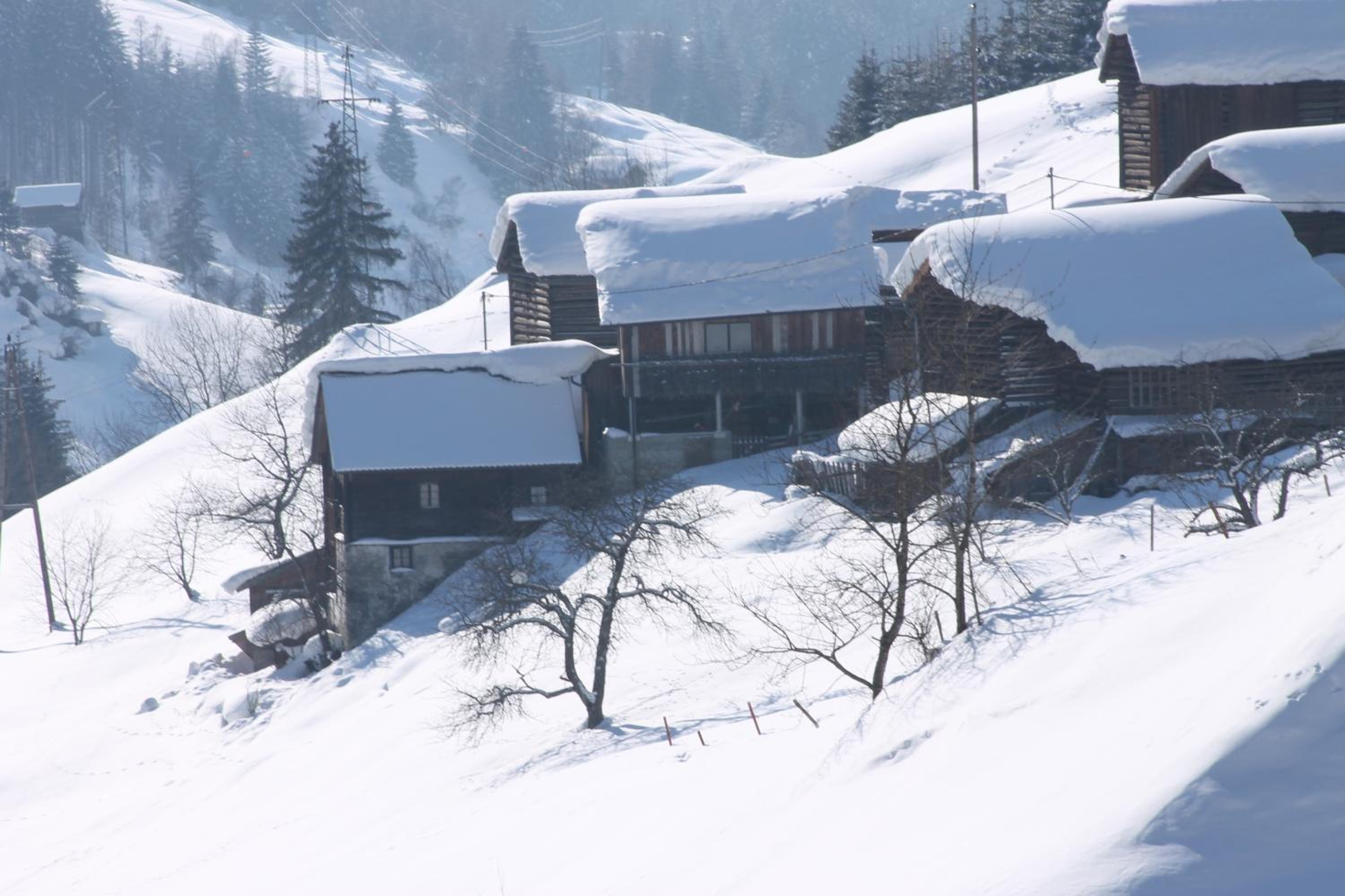 Garni Montana