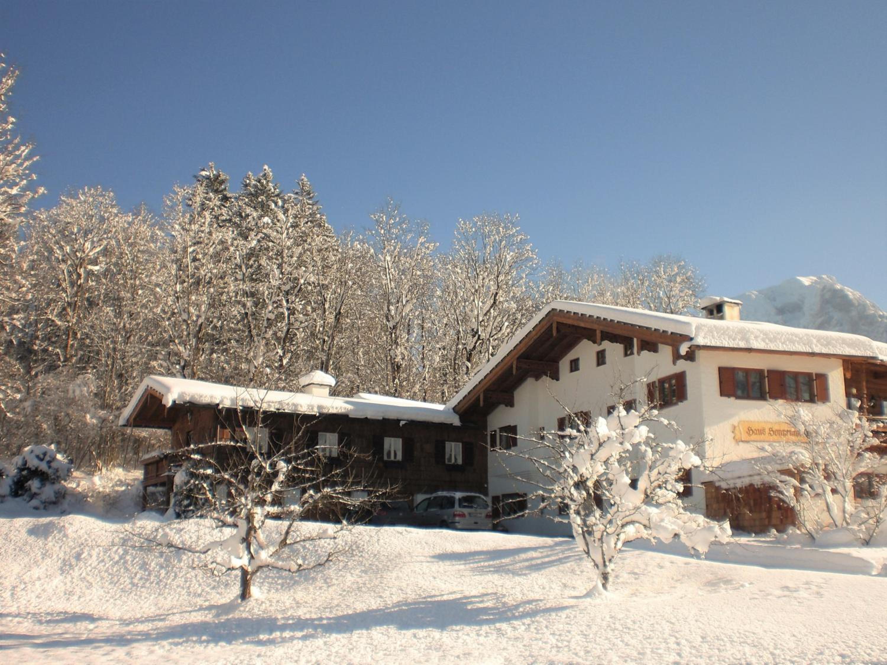 Photo 41