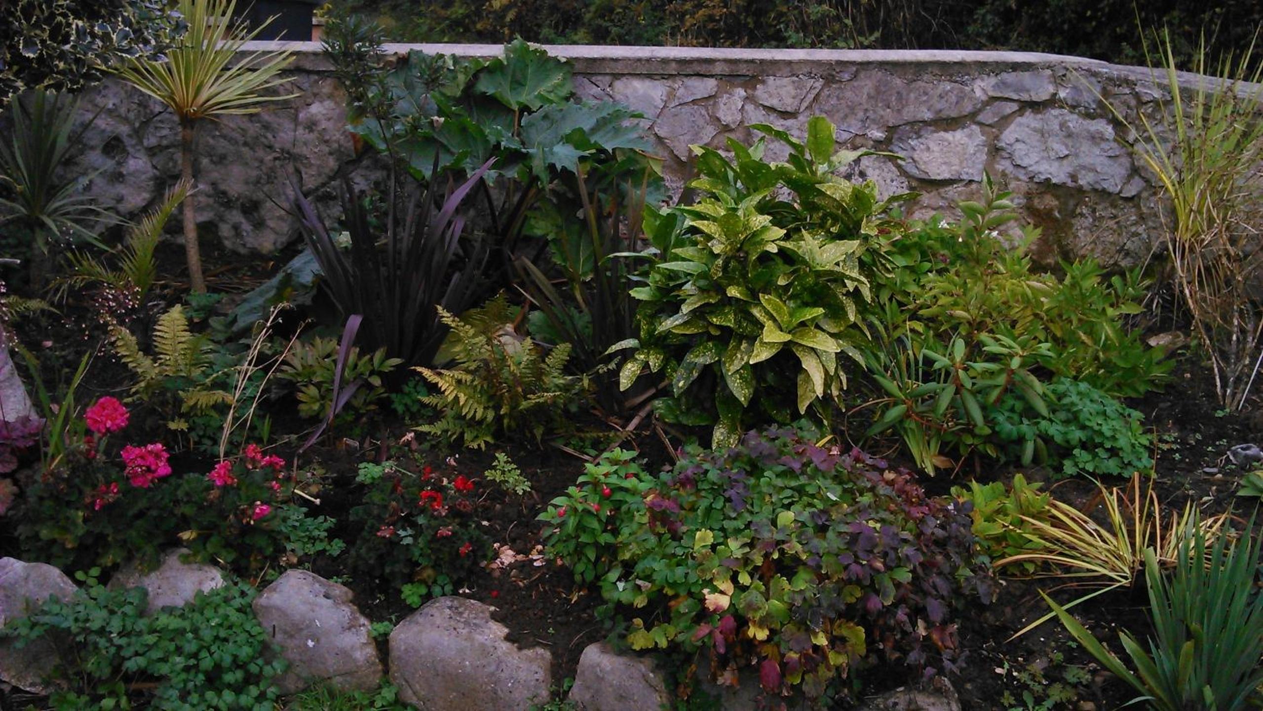 Photo 17