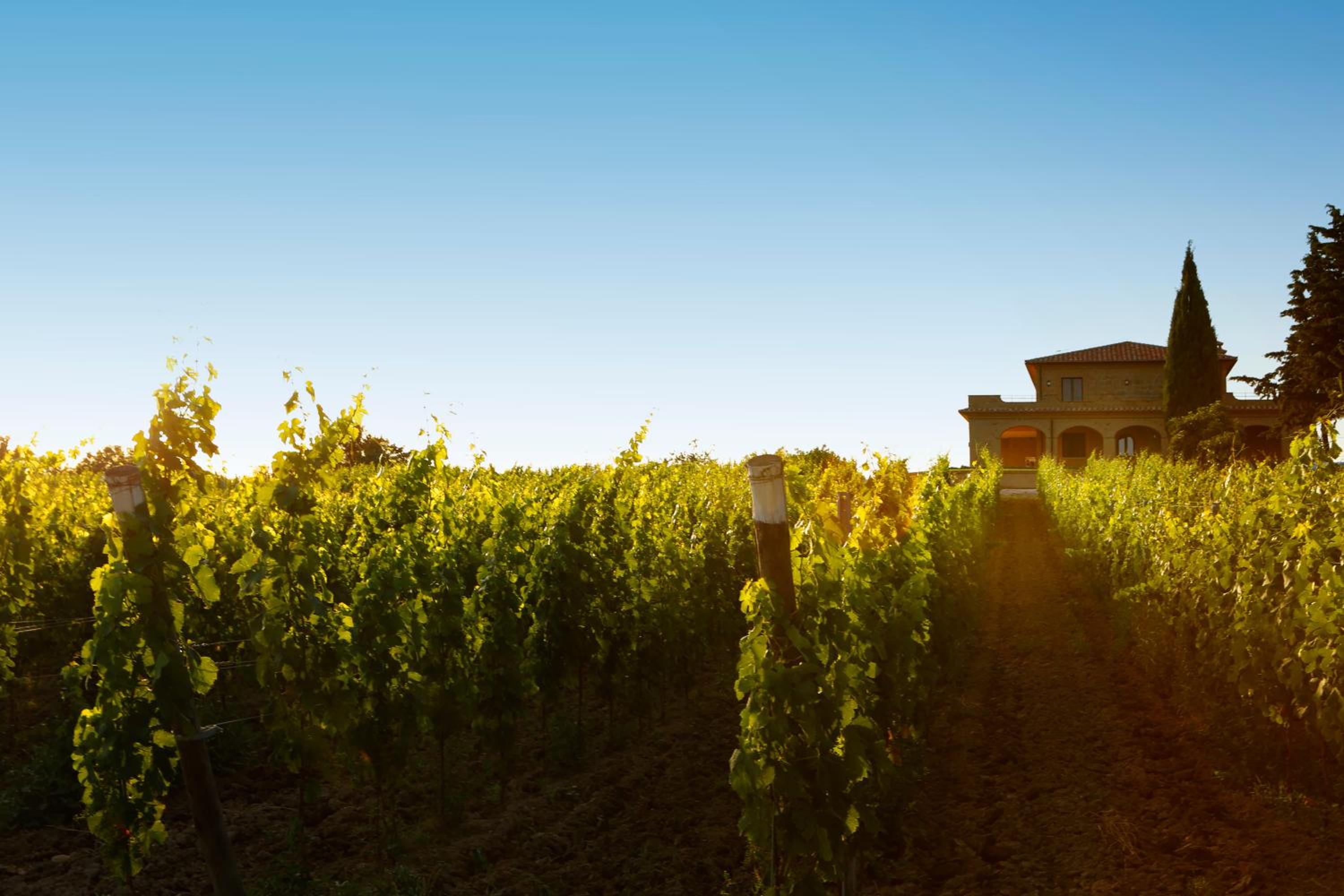 Agriturismo Poggio Al Tufo