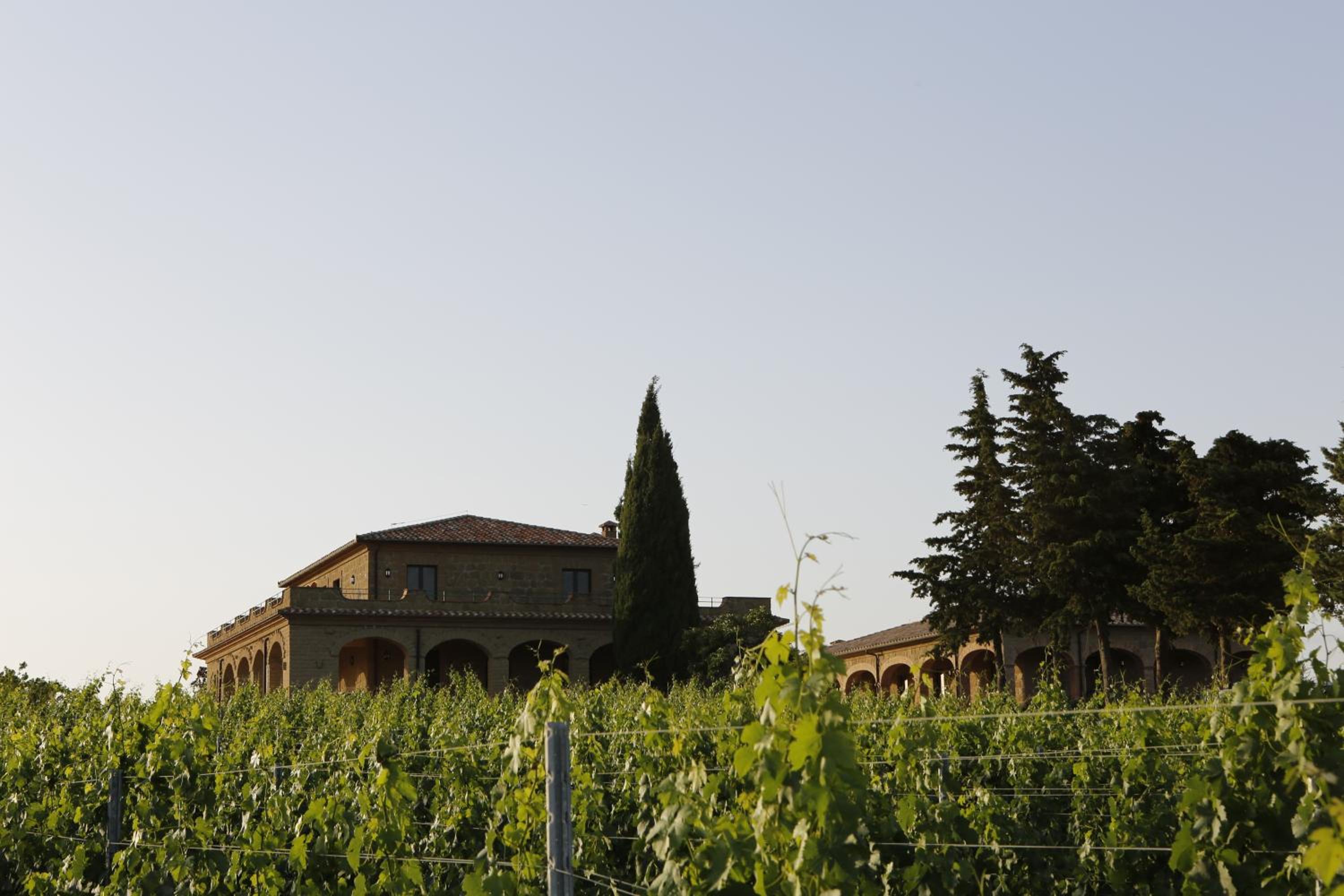 Agriturismo Poggio Al Tufo