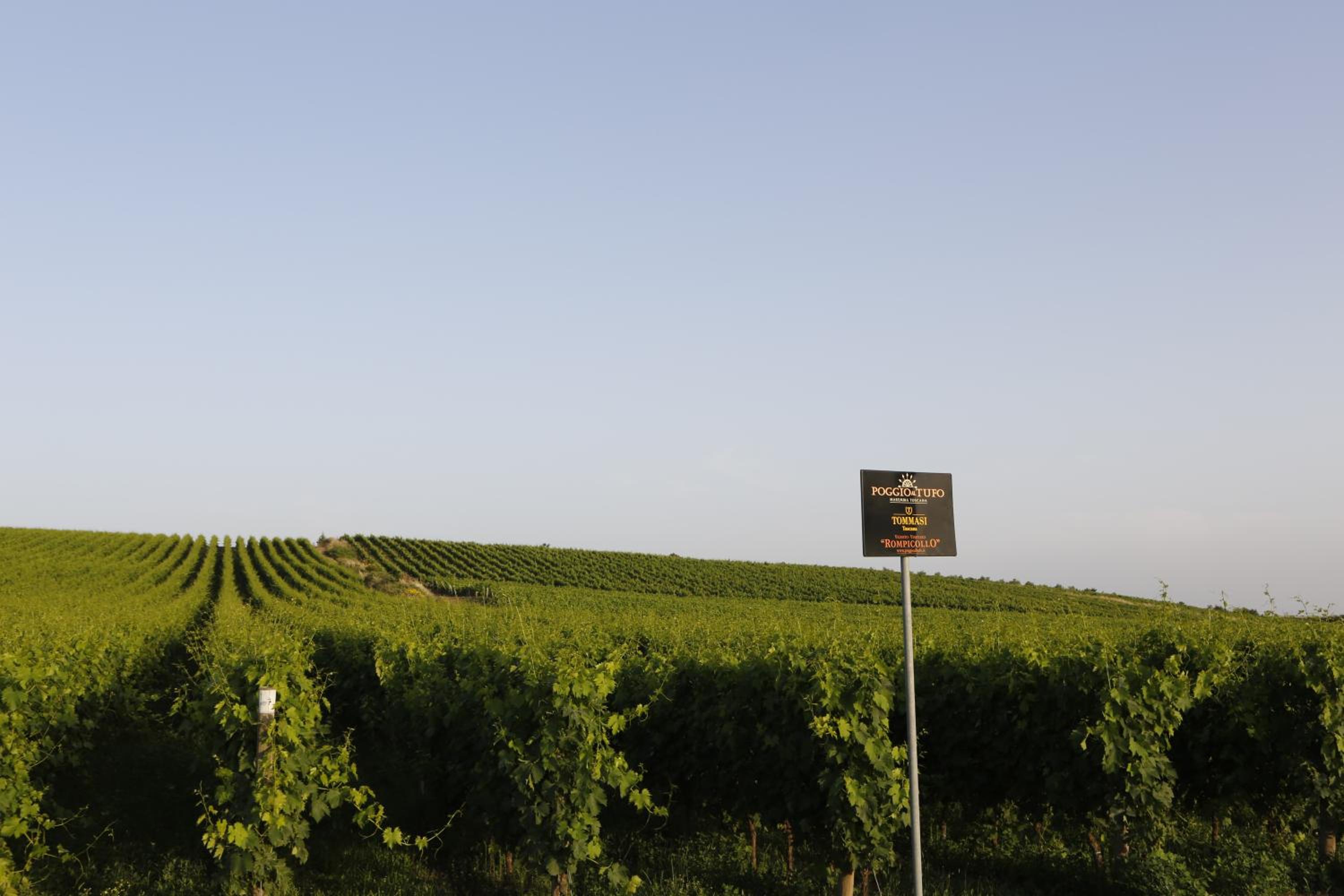 Agriturismo Poggio Al Tufo
