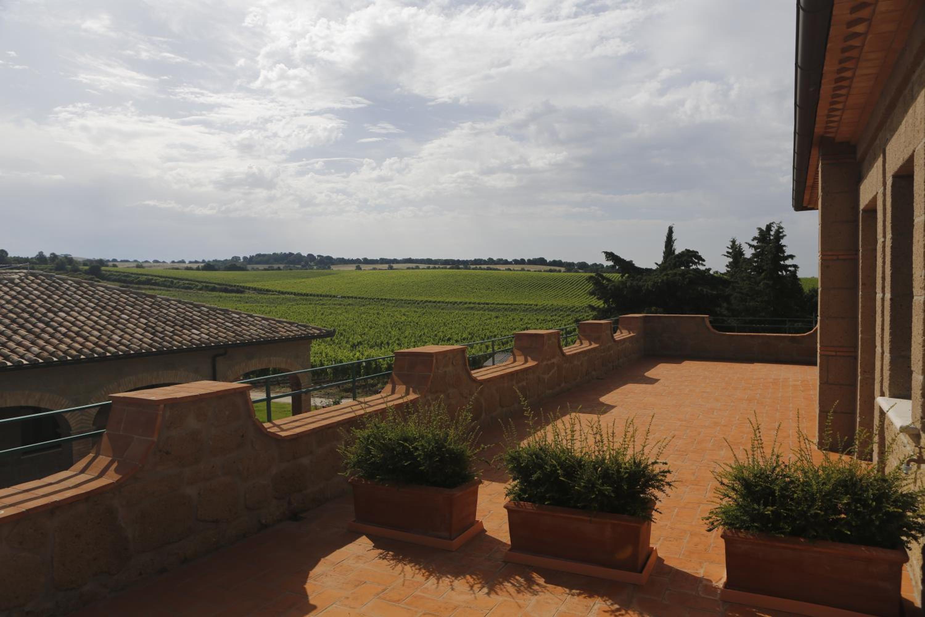 Agriturismo Poggio Al Tufo