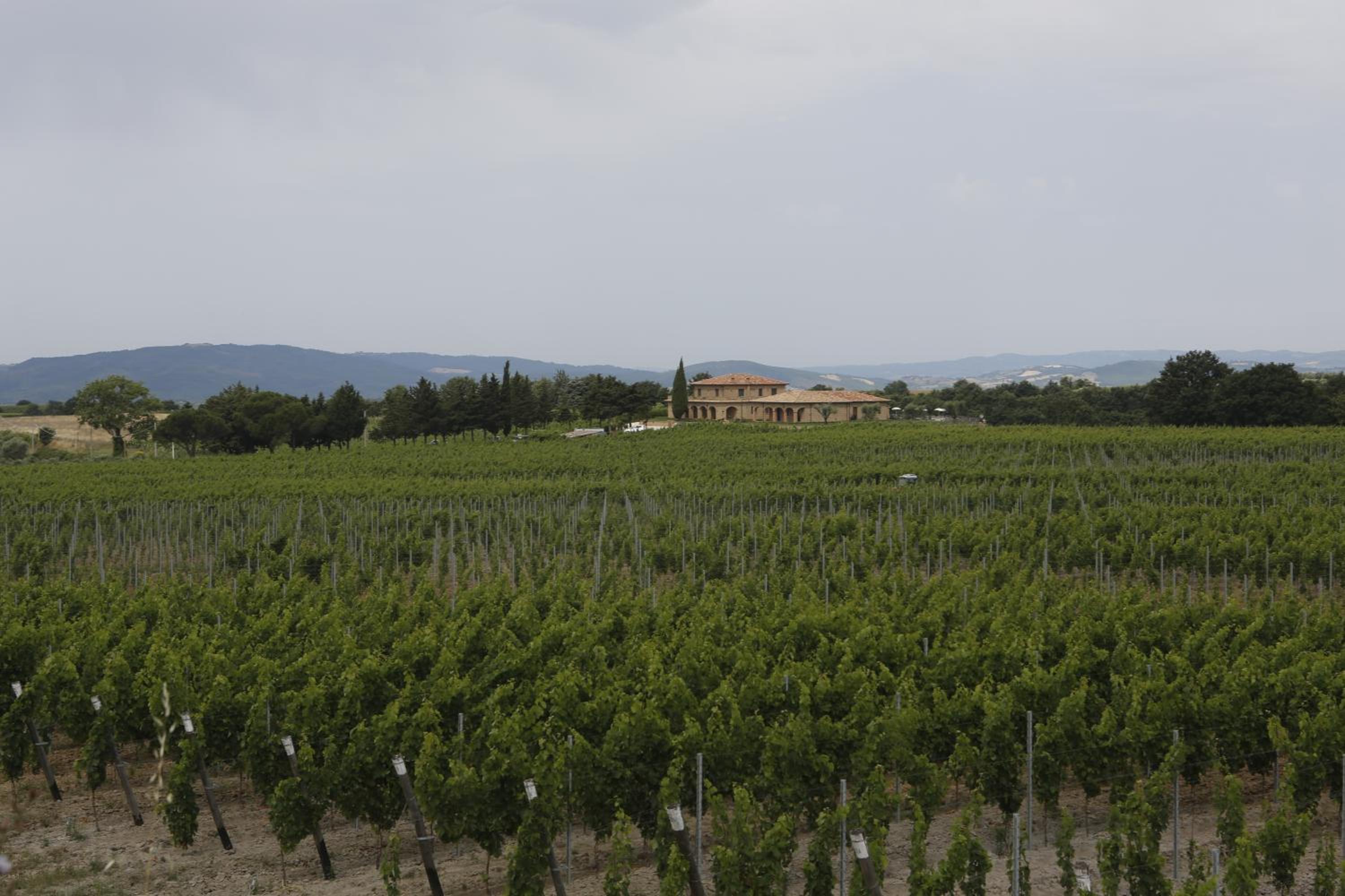 Agriturismo Poggio Al Tufo