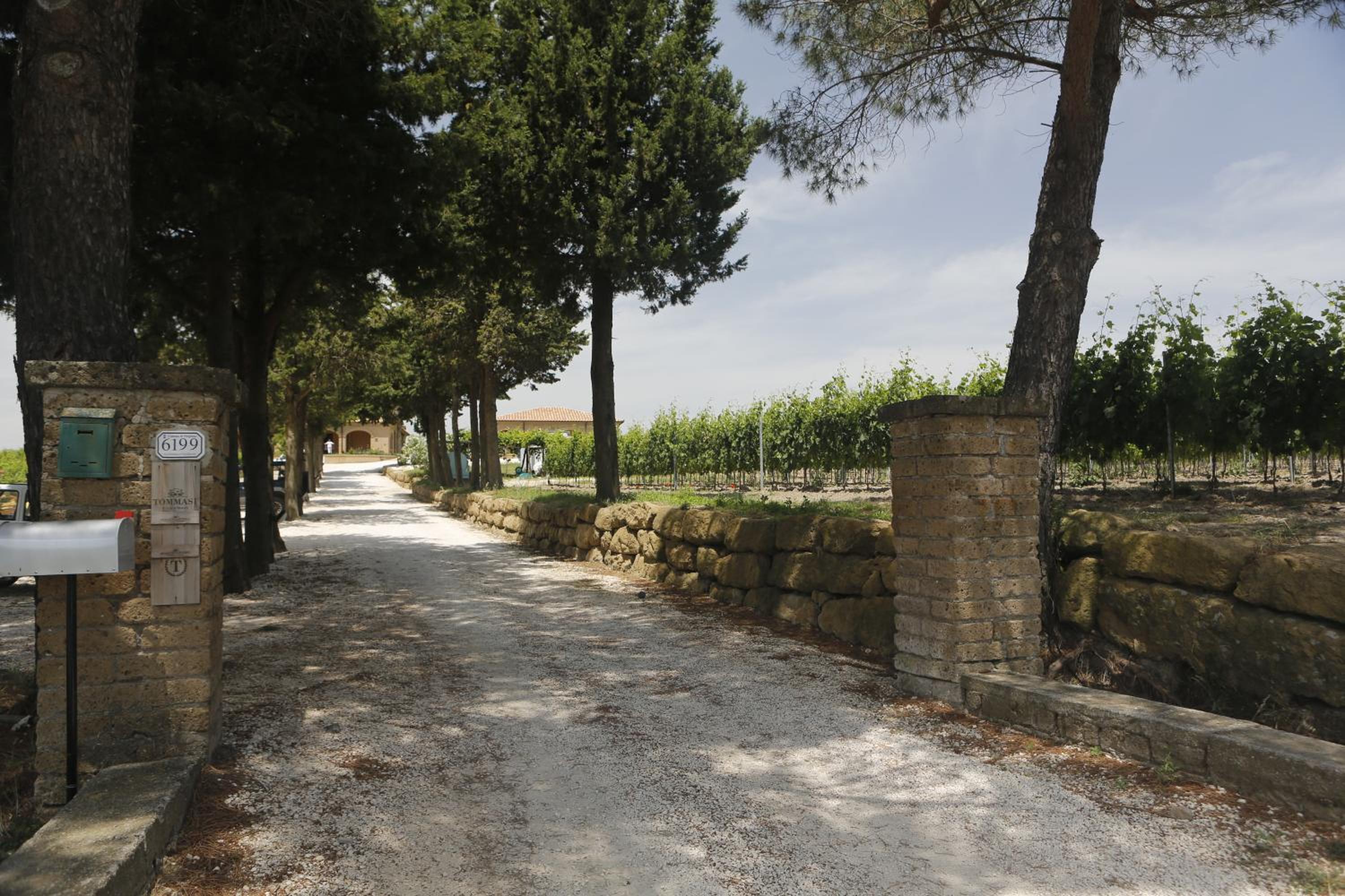 Agriturismo Poggio Al Tufo