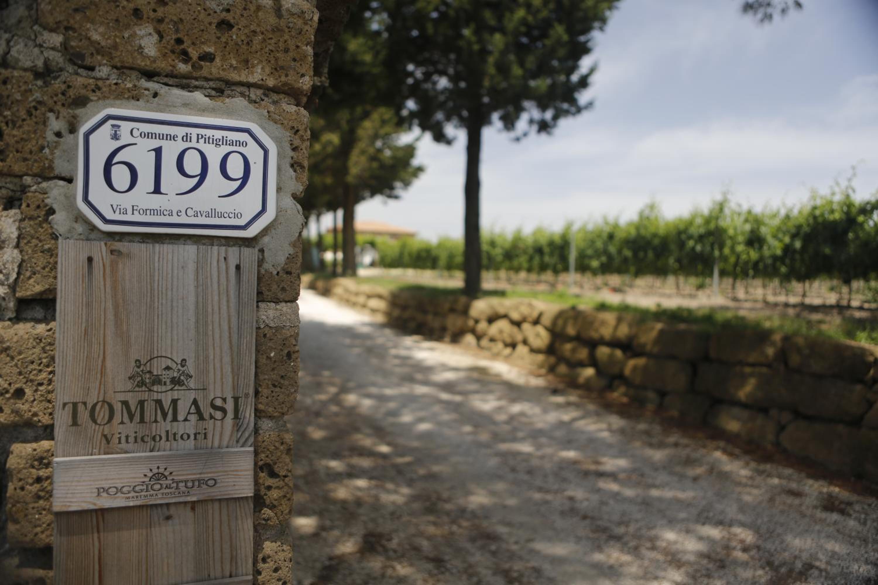Agriturismo Poggio Al Tufo