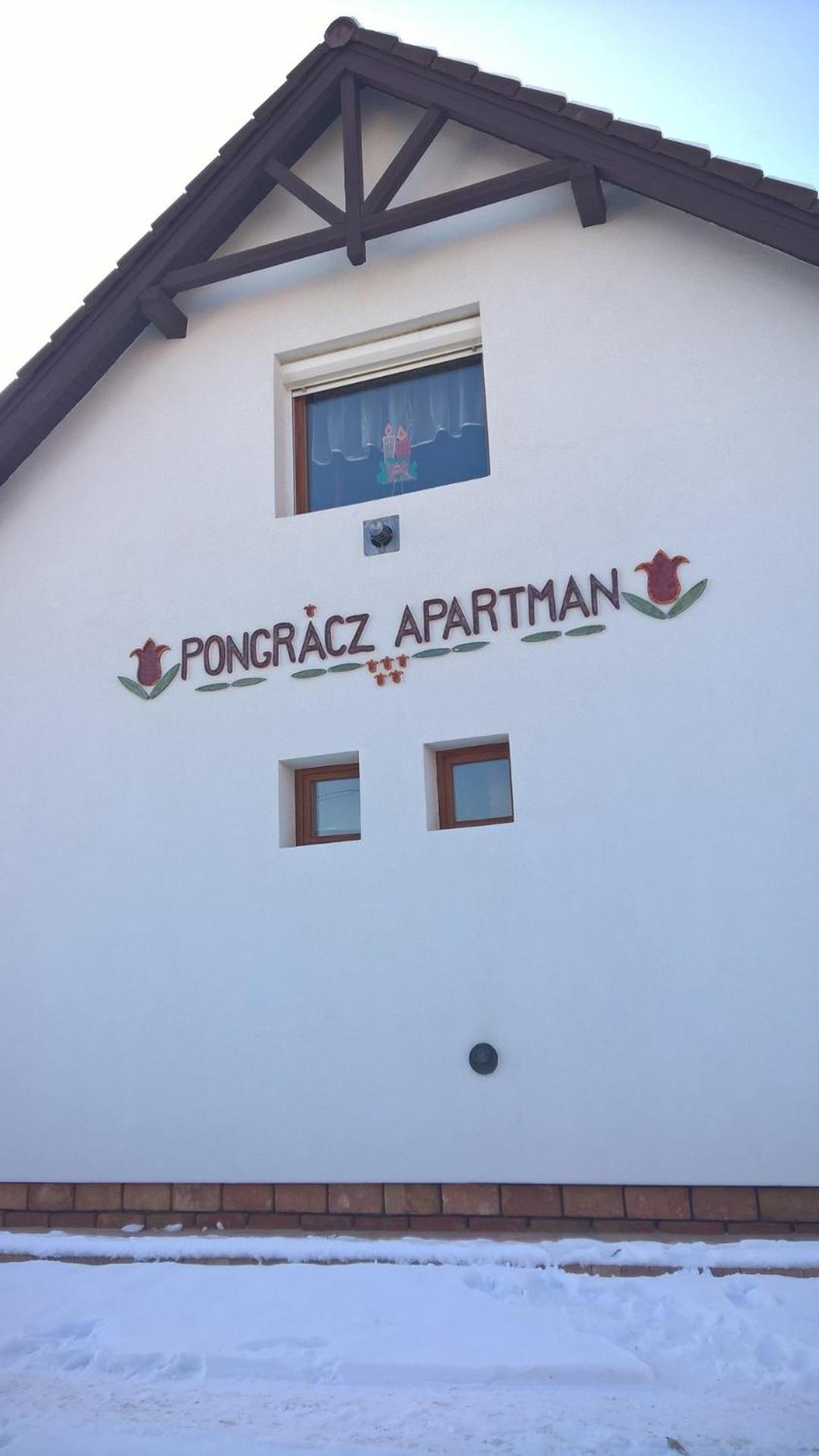 Pongrácz Apartman view 4