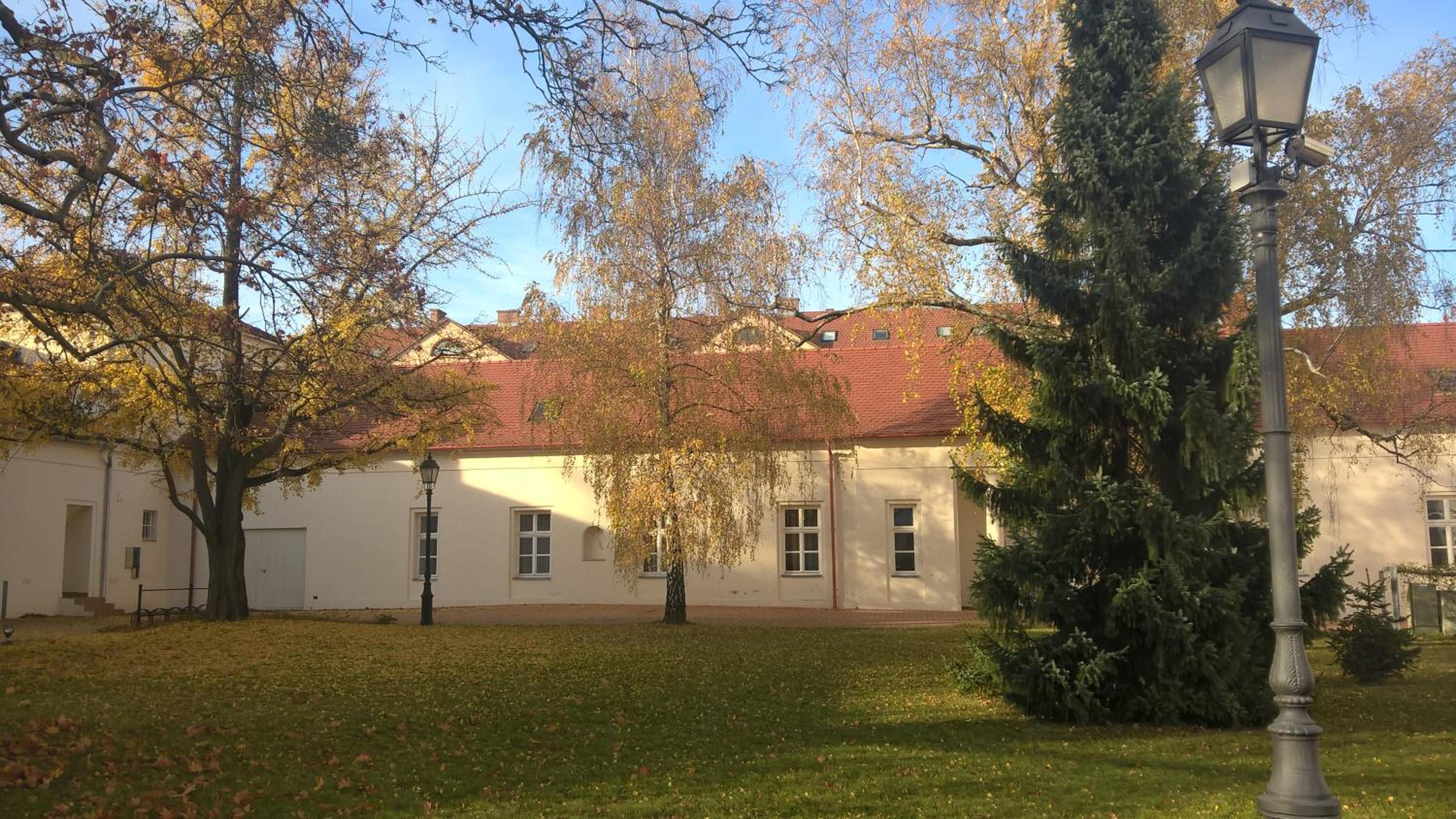 Photo 41