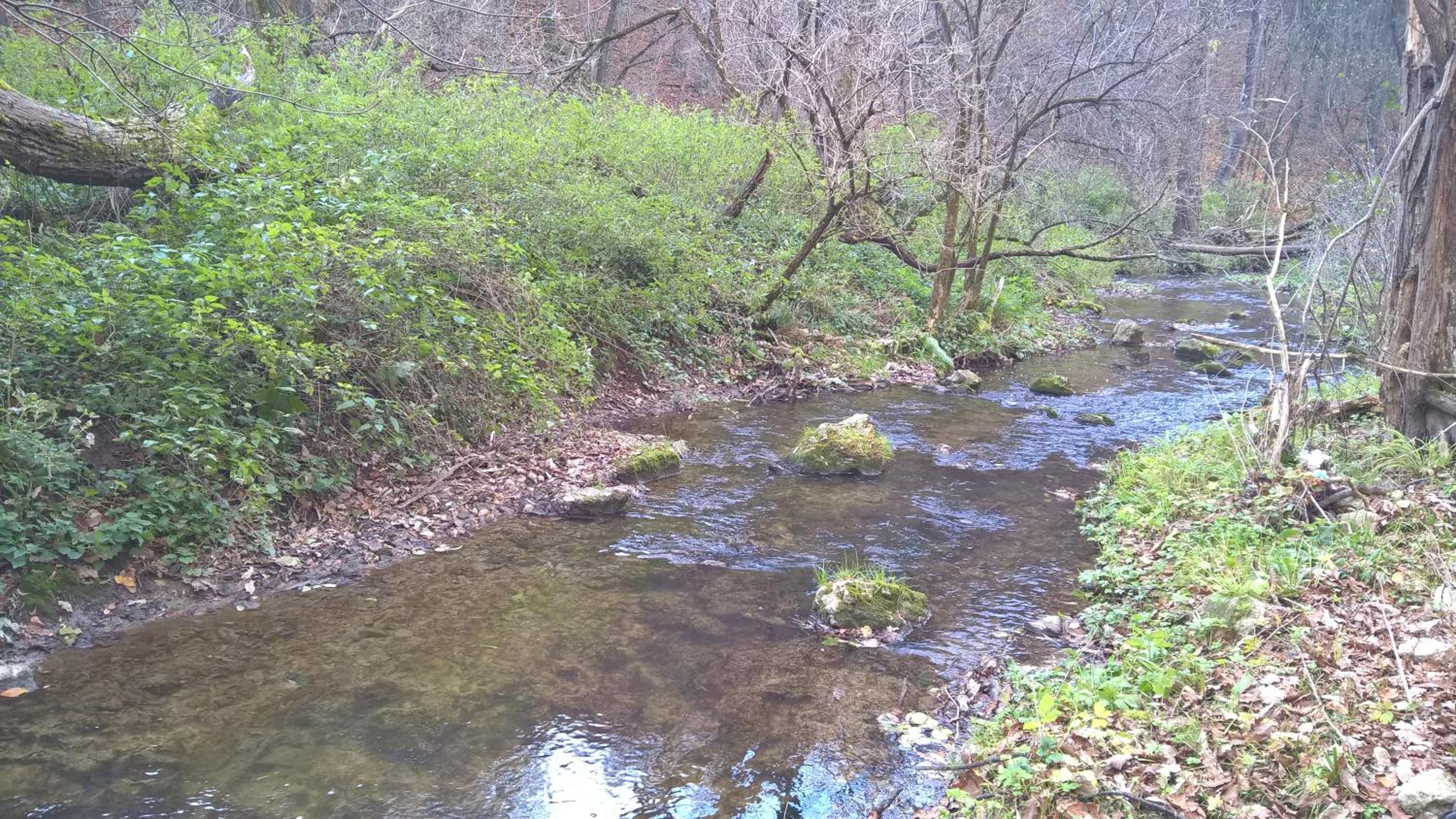 Photo 47