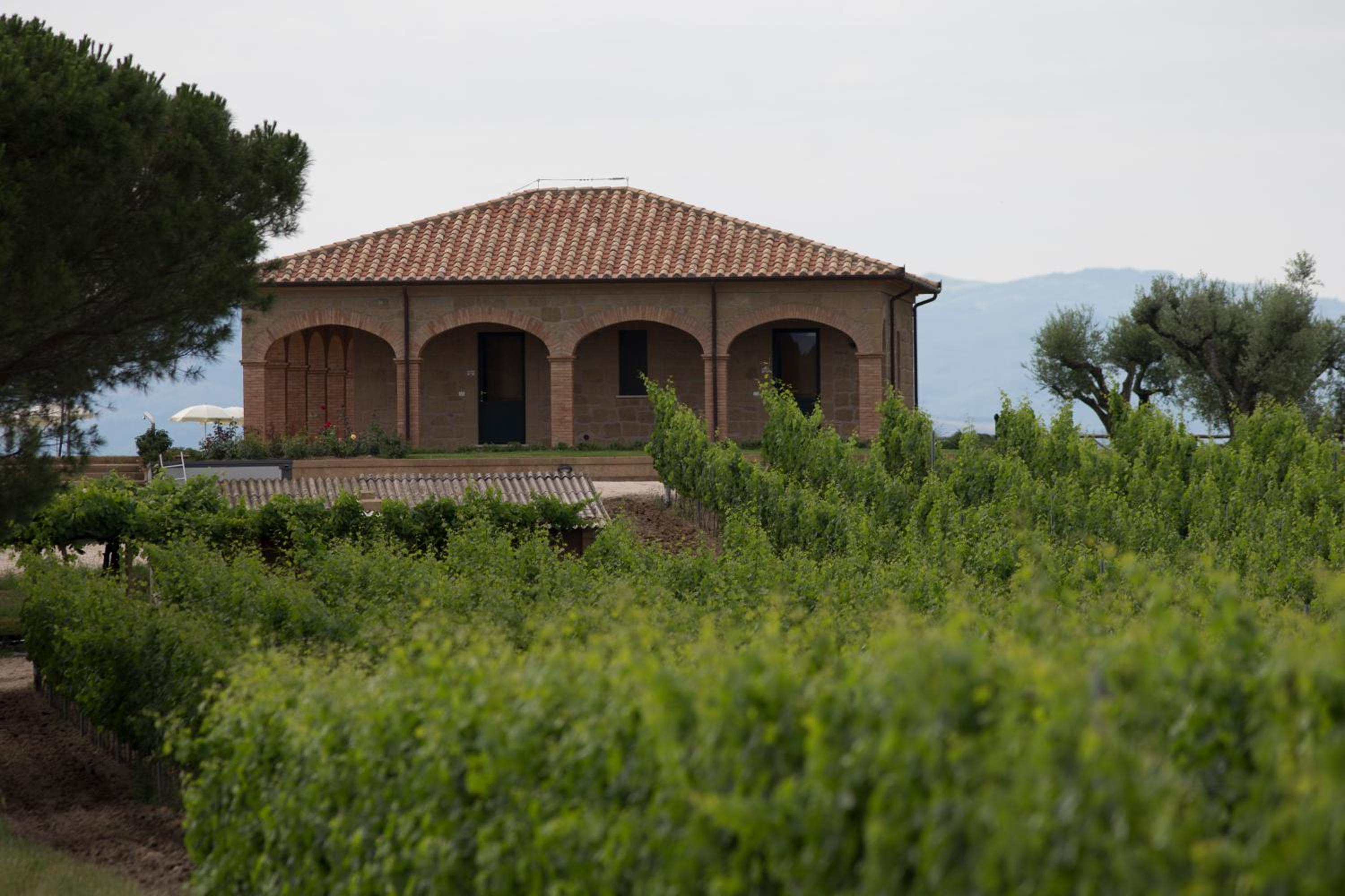 Agriturismo Poggio Al Tufo